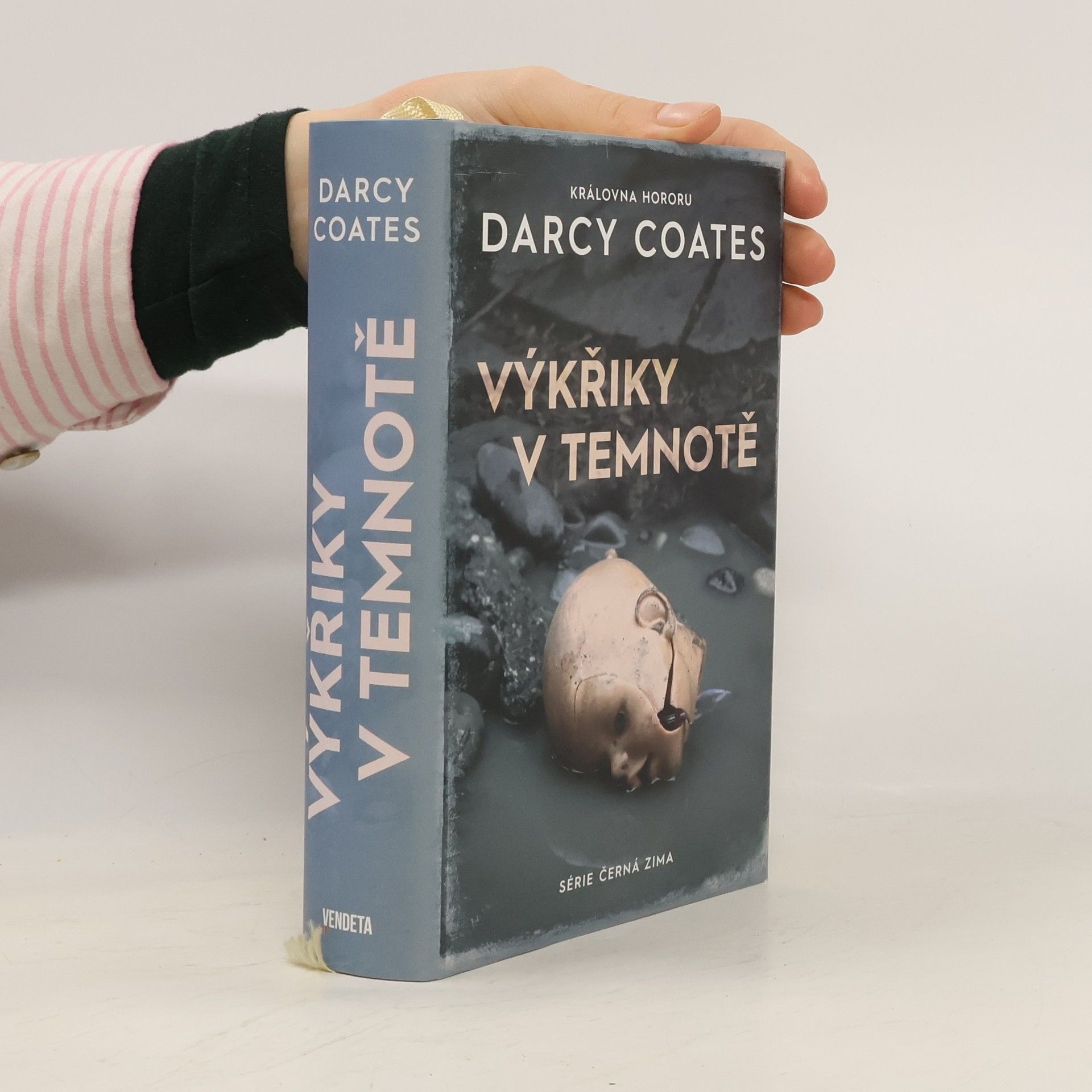 Darcy Coates Výkřiky v temnotě