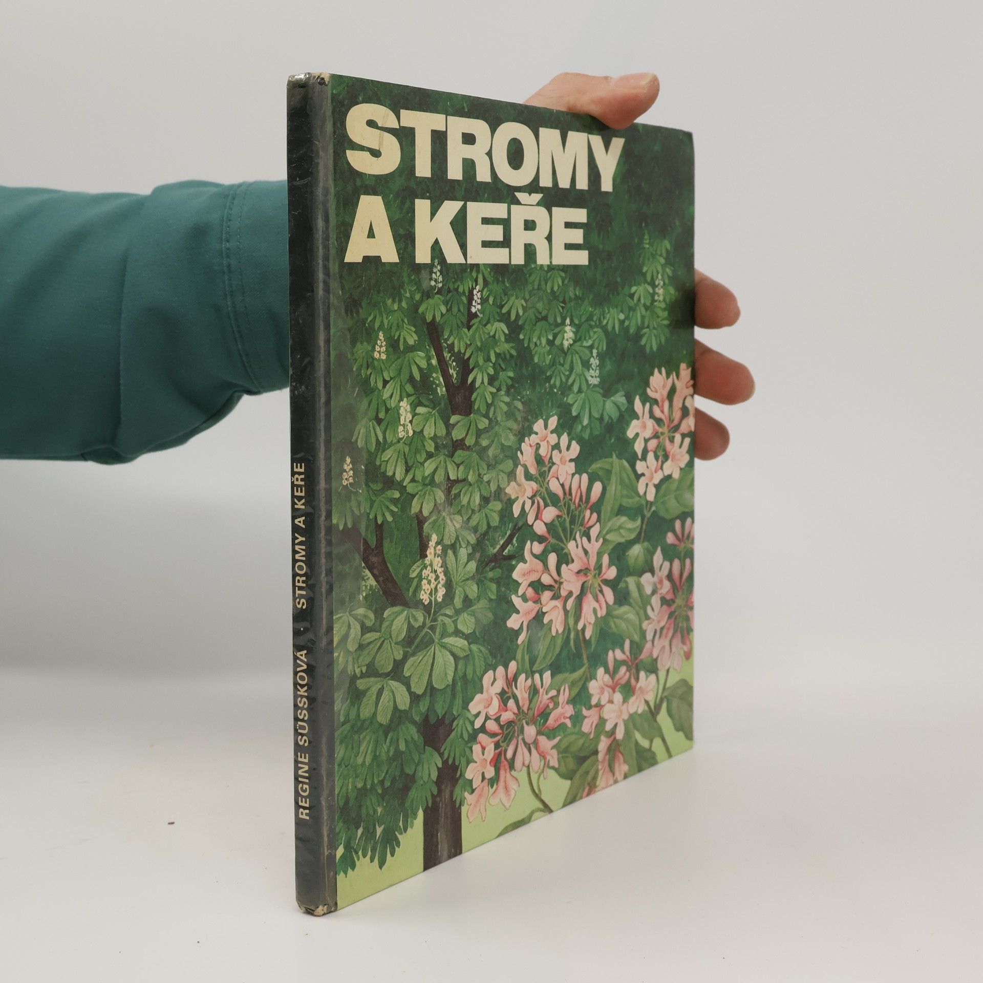 Regine Süssk Stromy a keře