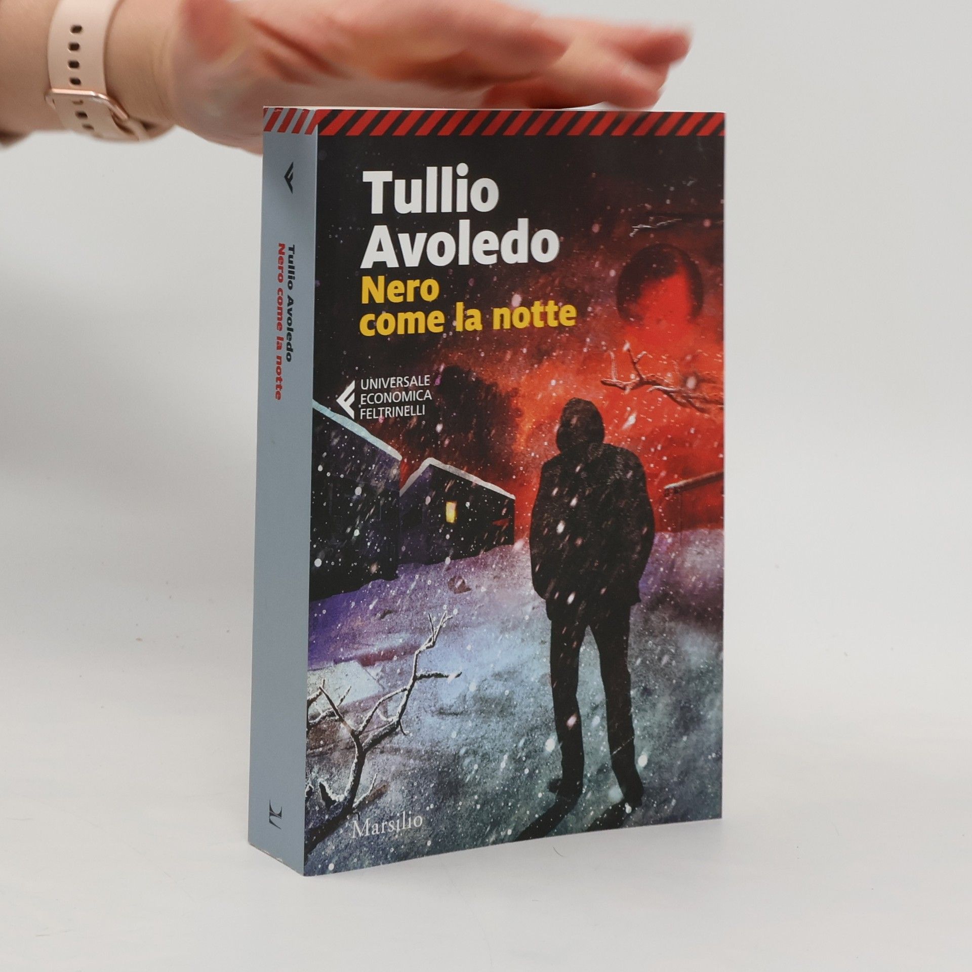 Tullio Avoledo Nero come la notte