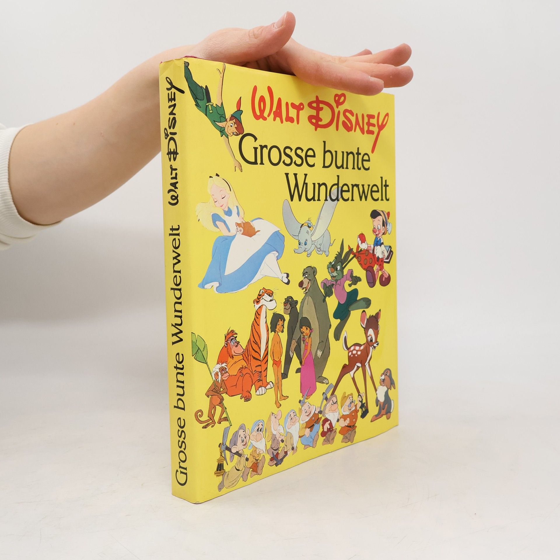 Walt Disney Grosse bunte Wunderwelt