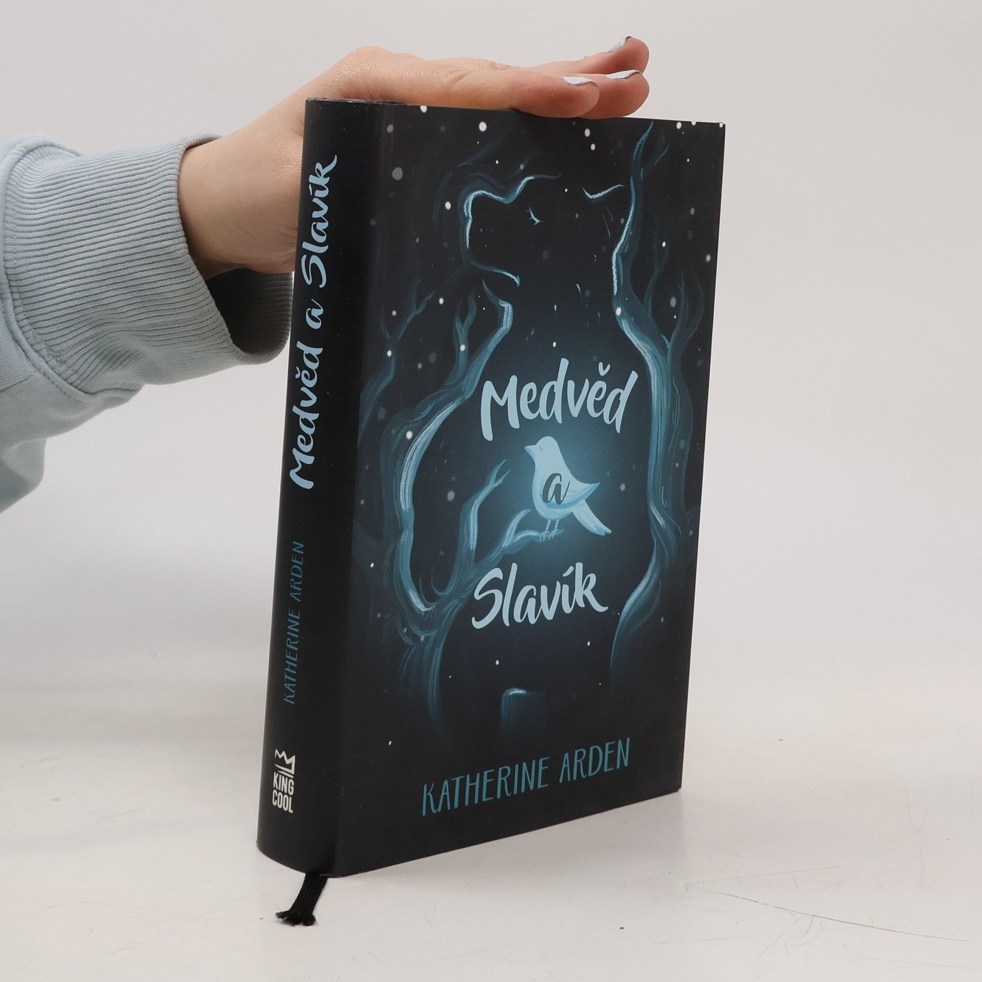Katherine Arden Medvěd a Slavík