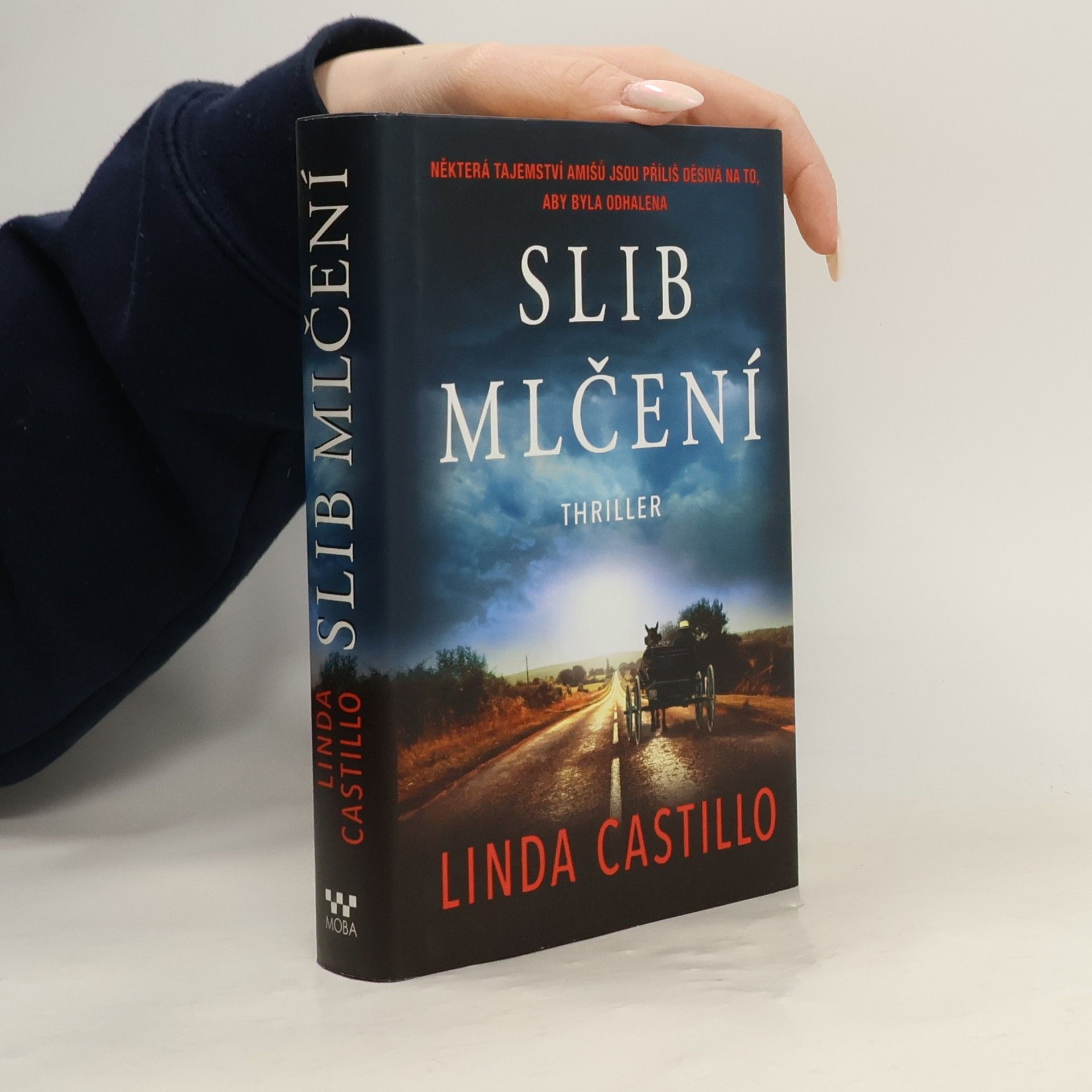 Linda Castillo Slib mlčení