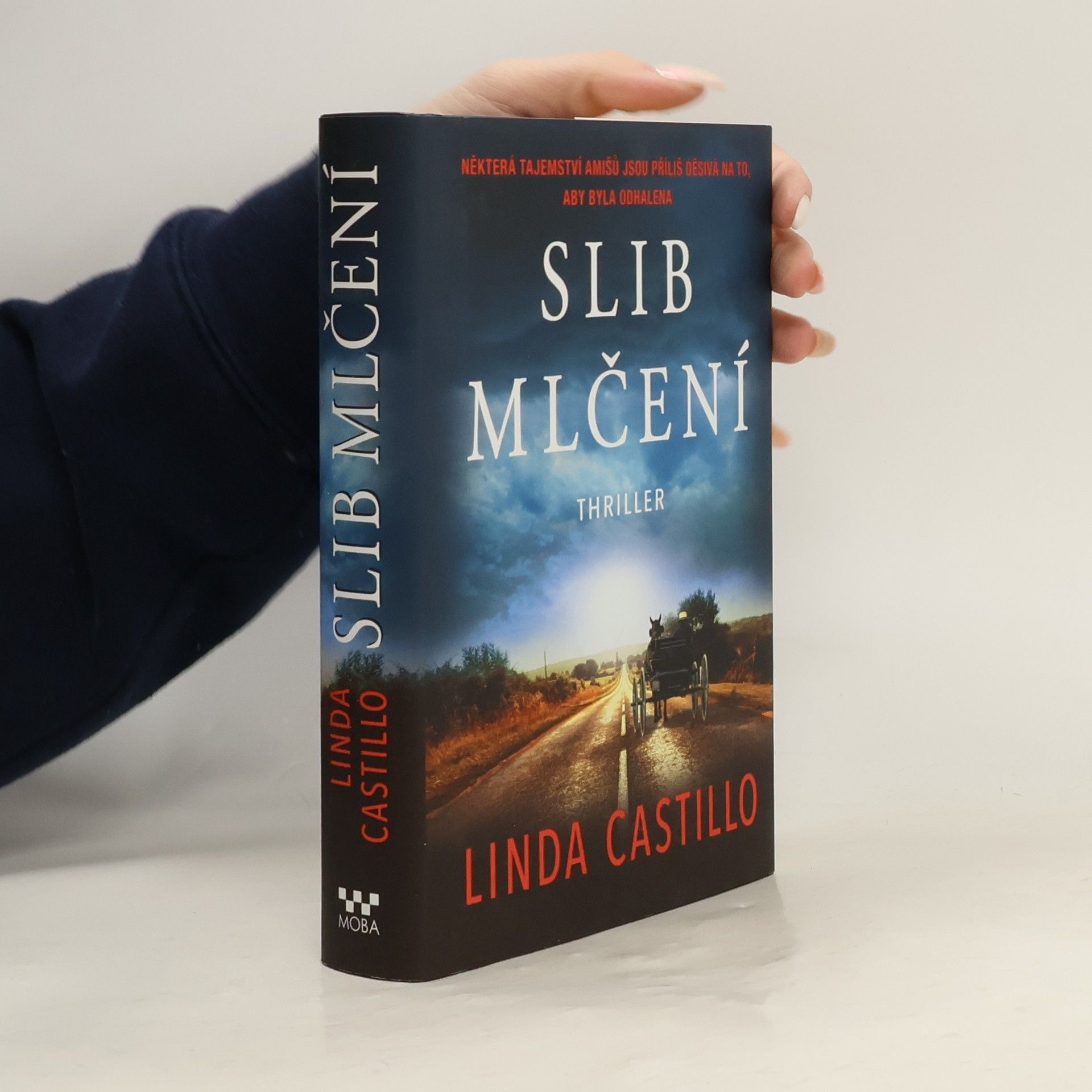 Linda Castillo Slib mlčení