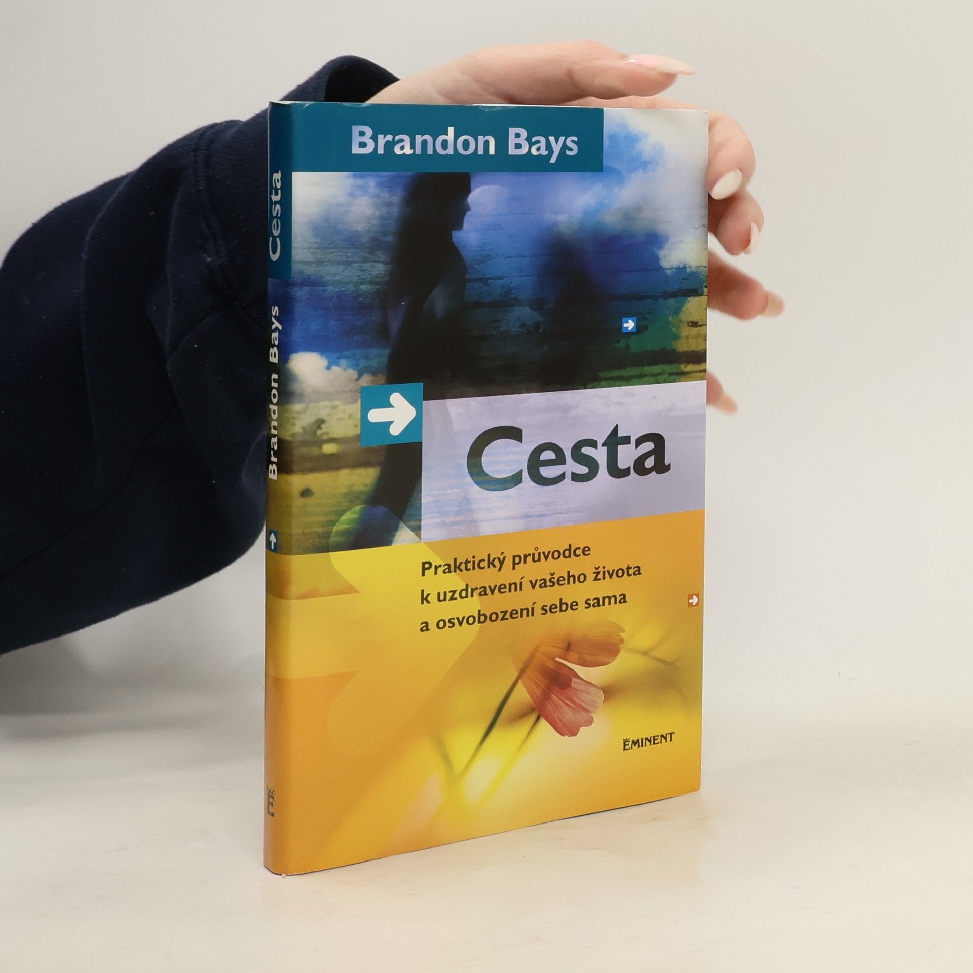 Brandon Bays Cesta