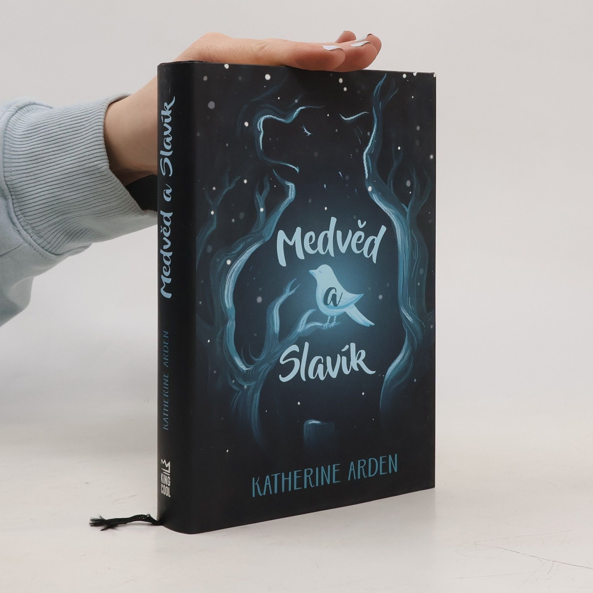 Katherine Arden Medvěd a Slavík