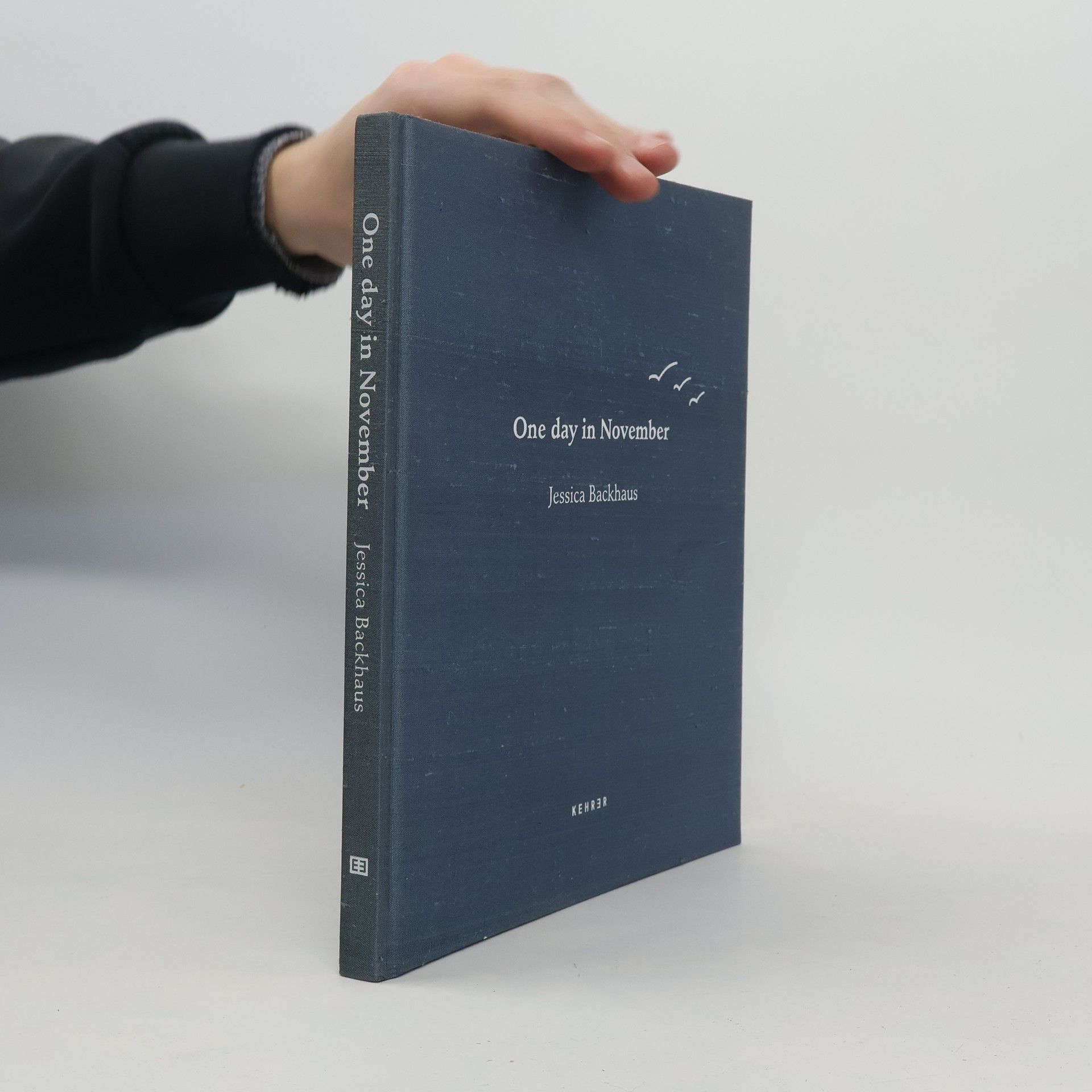 Jessica Backhaus One Day in November