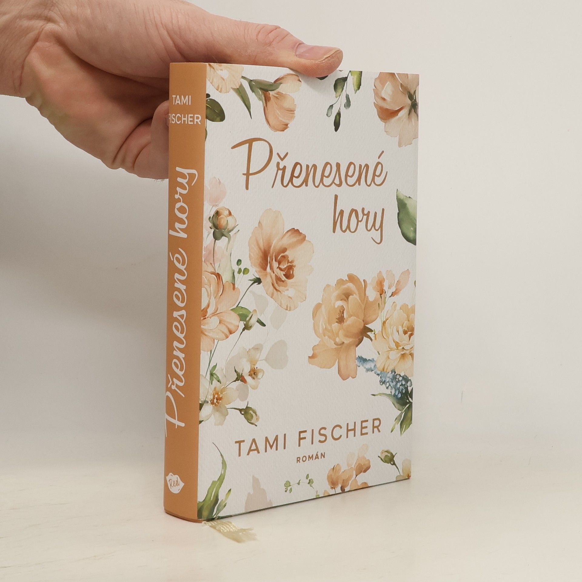 Tami Fischer Přenesené hory