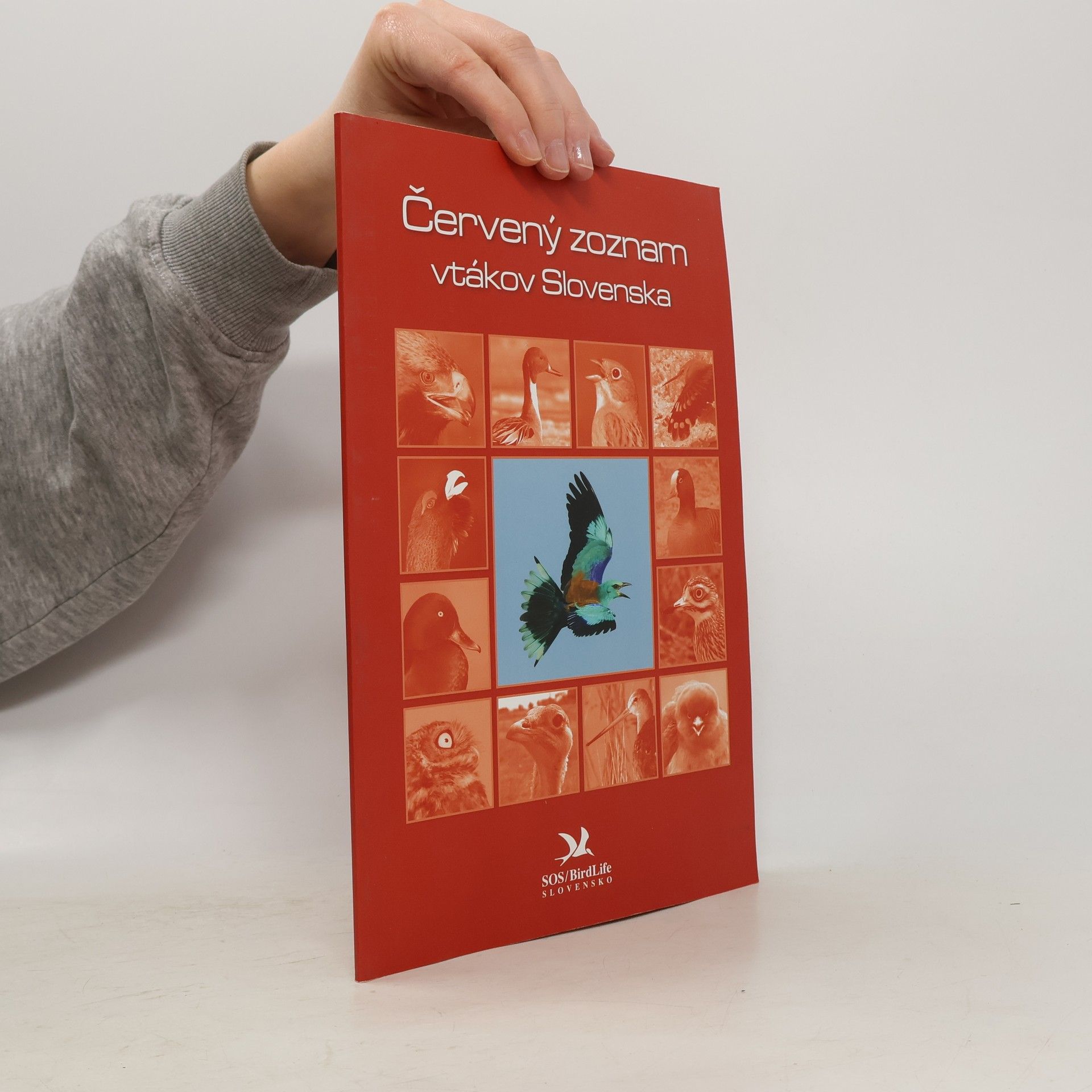 Autorenkollektiv Červený zoznam vtákov Slovenska