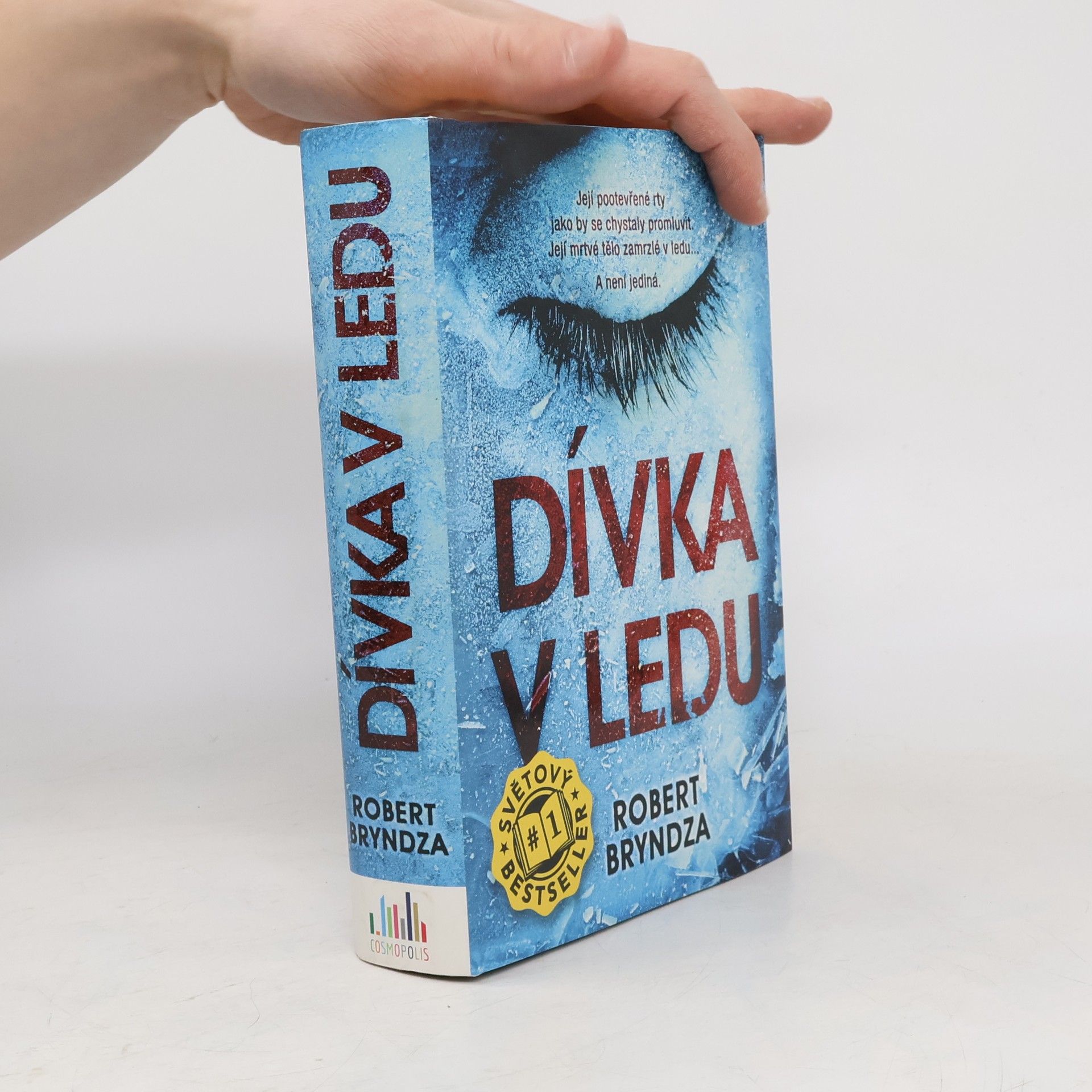 Robert Bryndza Dívka v ledu