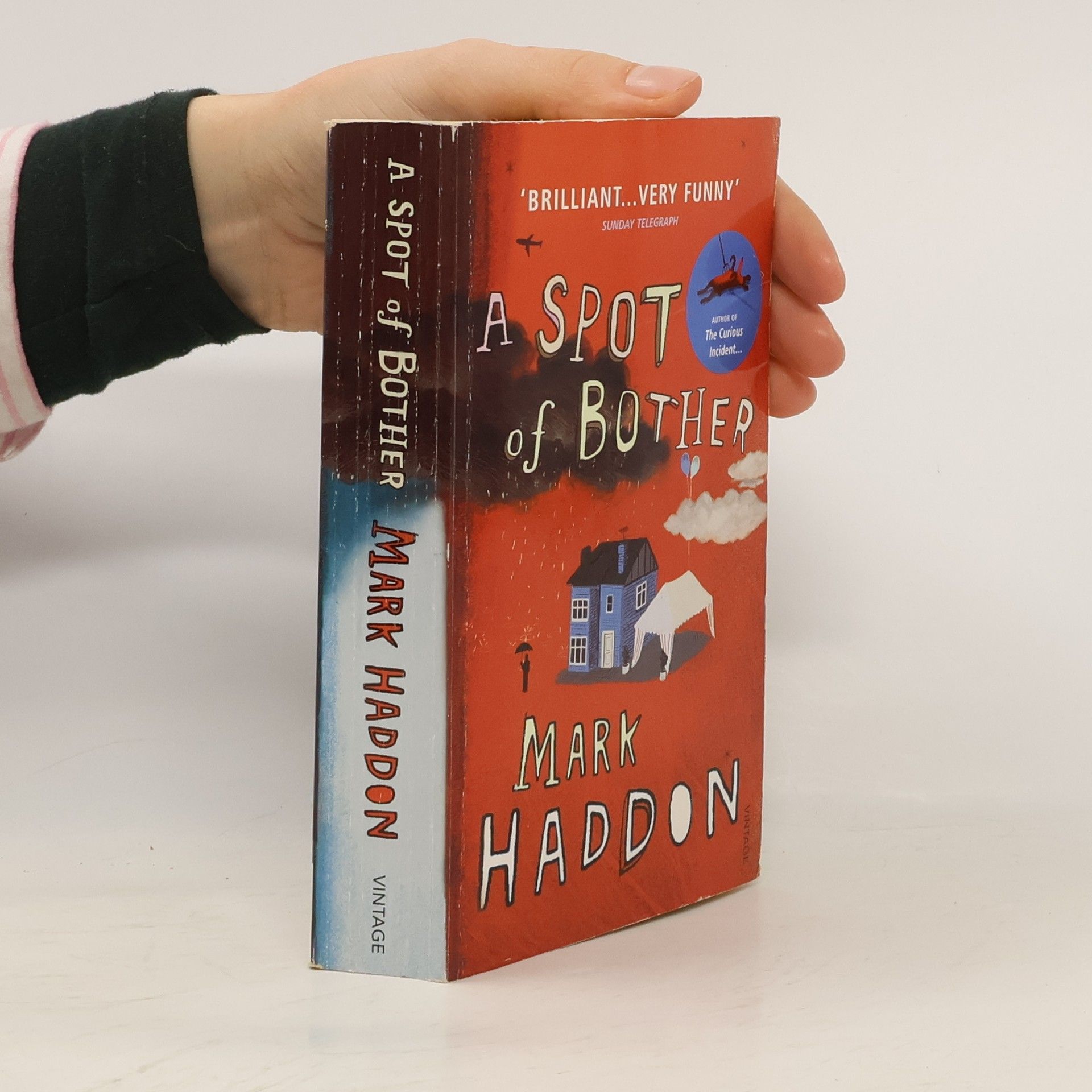 Mark Haddon A Spot of Bother