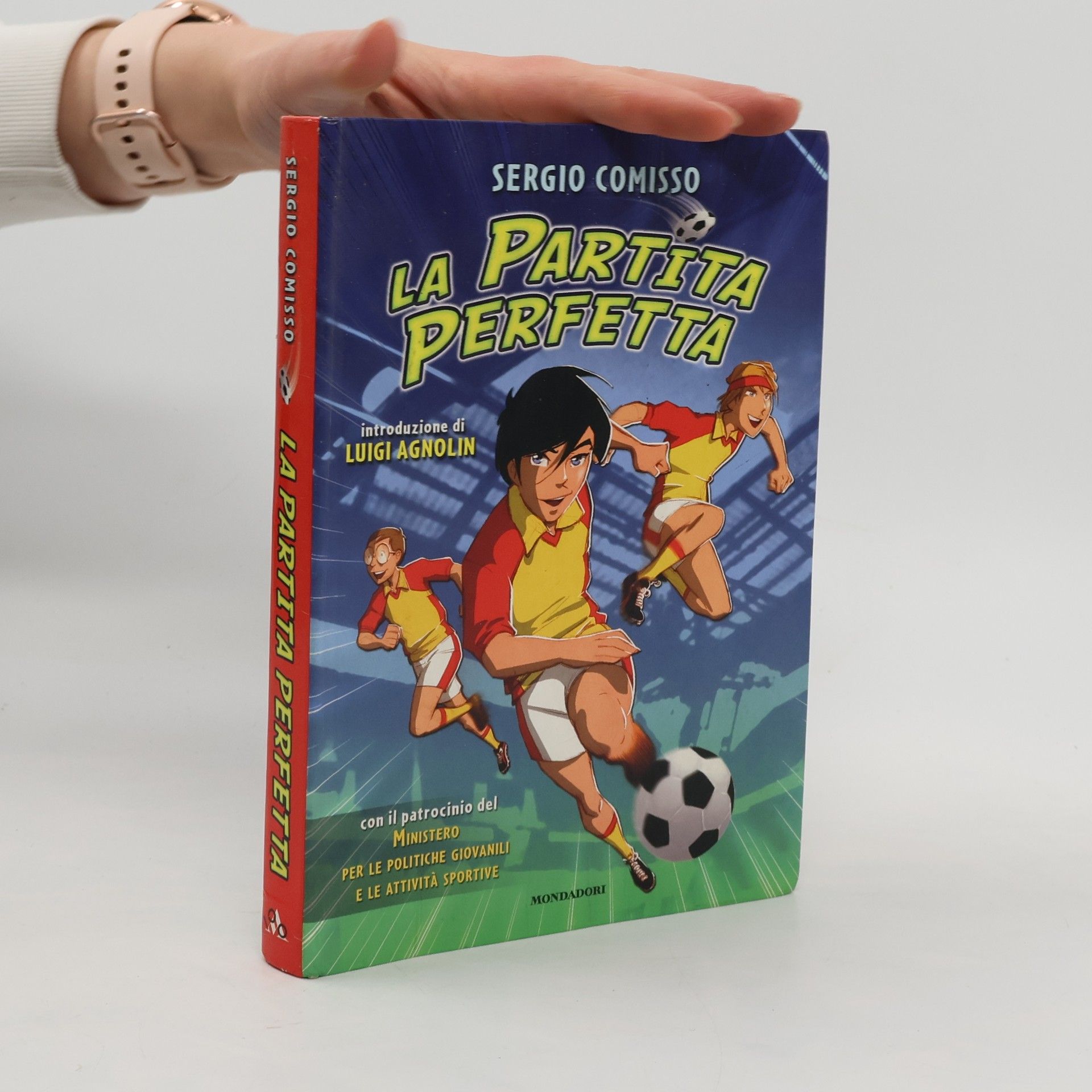 Sergio Comisso Manuali Mondadori: La partita perfetta