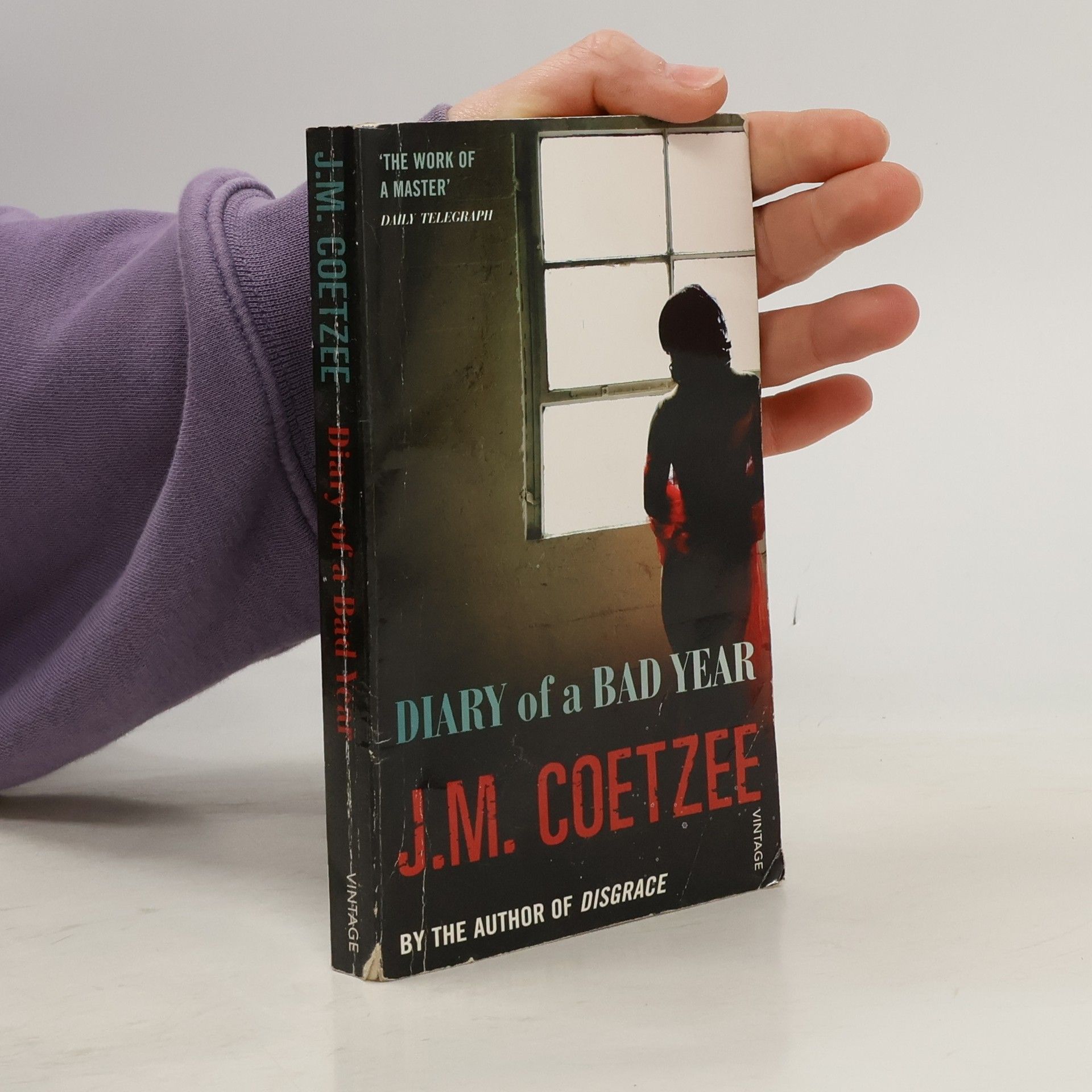 J. M. Coetzee Diary of a Bad Year
