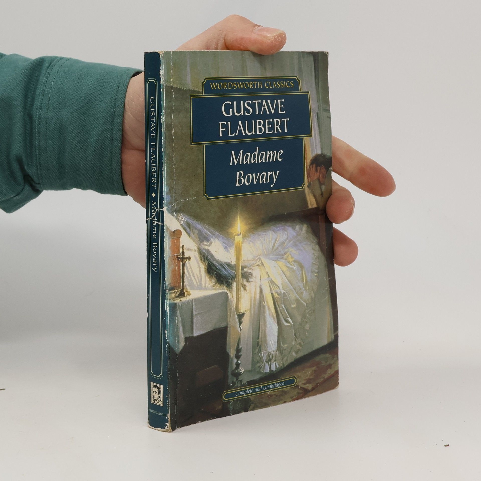 Gustave Flaubert Madame Bovary