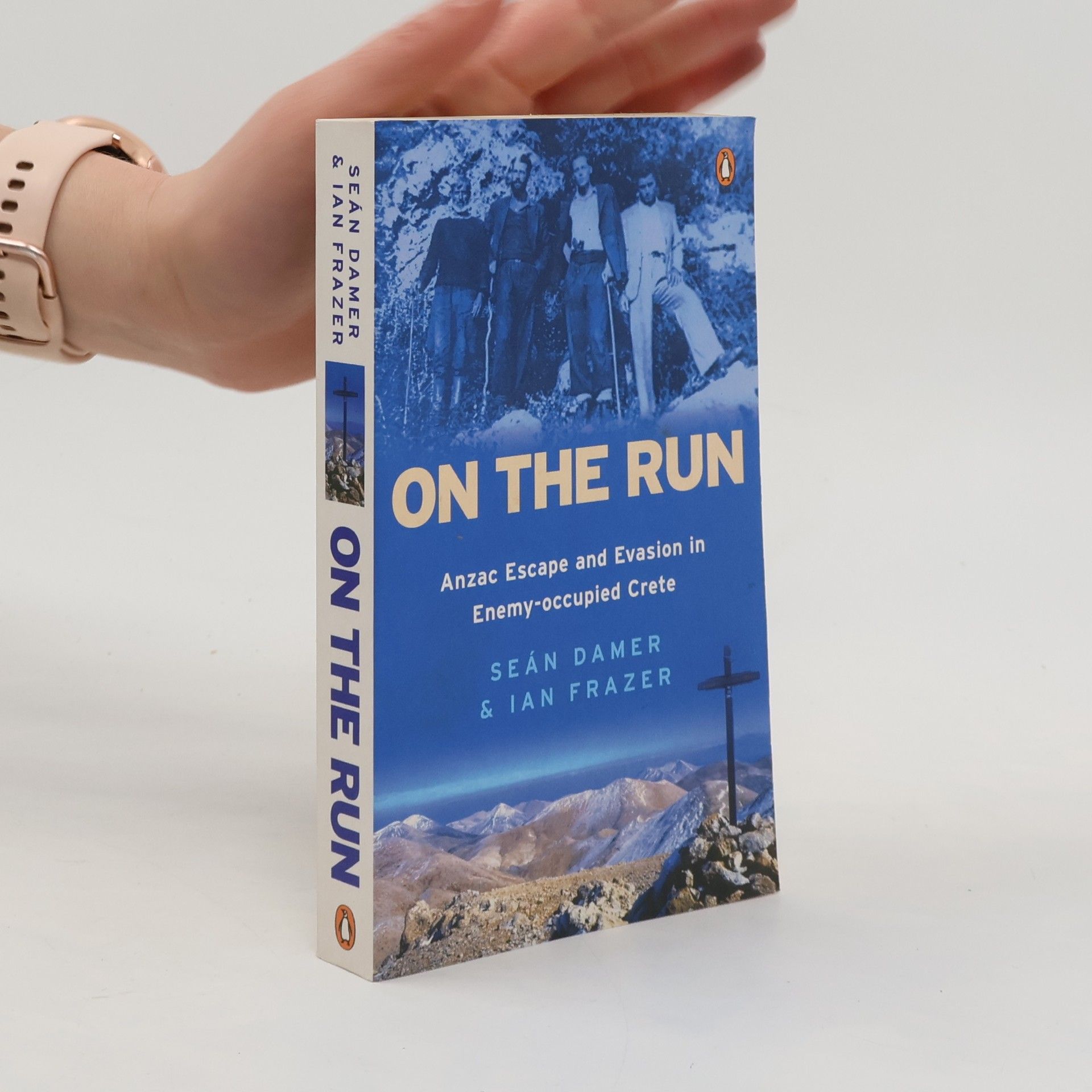 Sean Damer On the Run