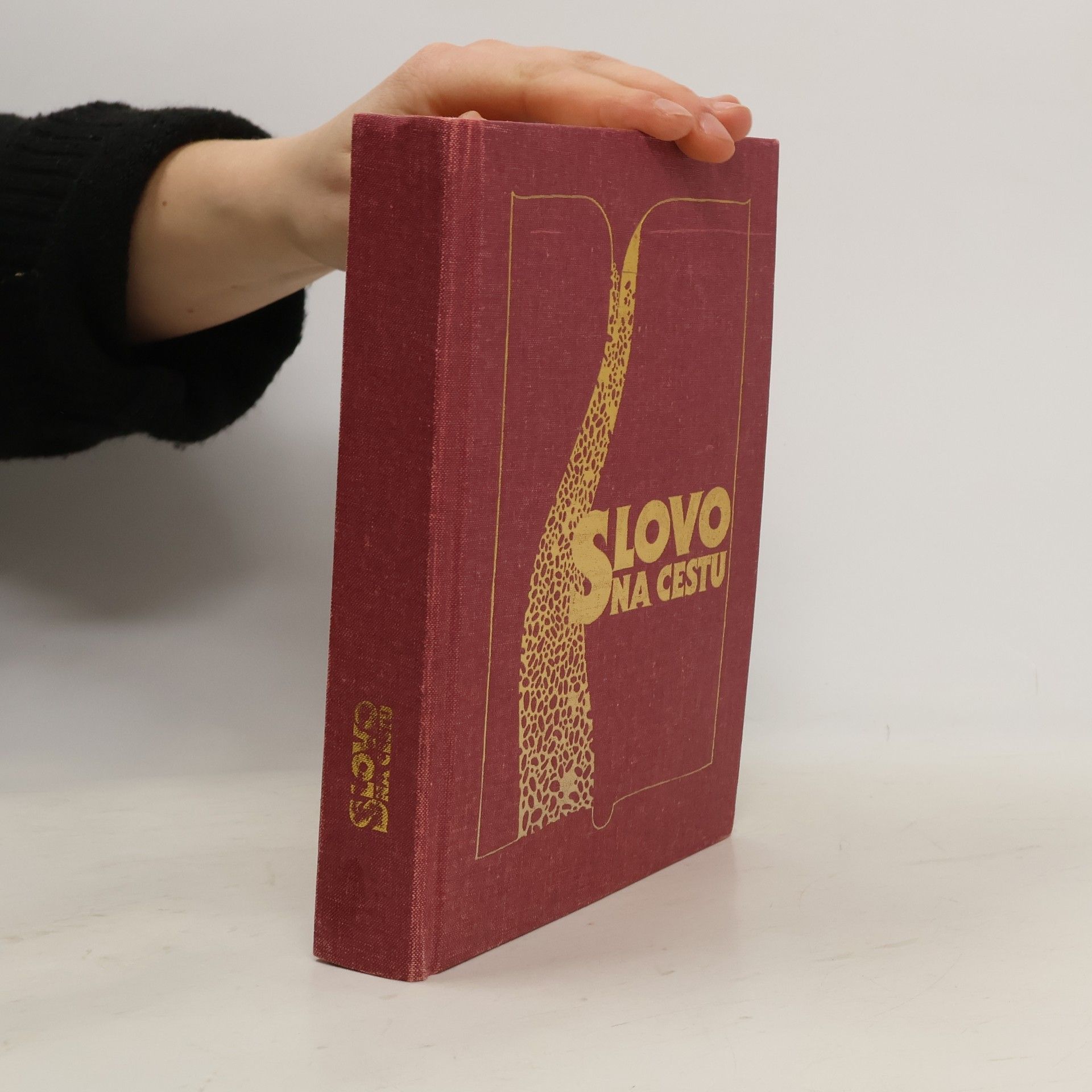 Jan Bárta Slovo na cestu. Parafrázovaný text Nového zákona