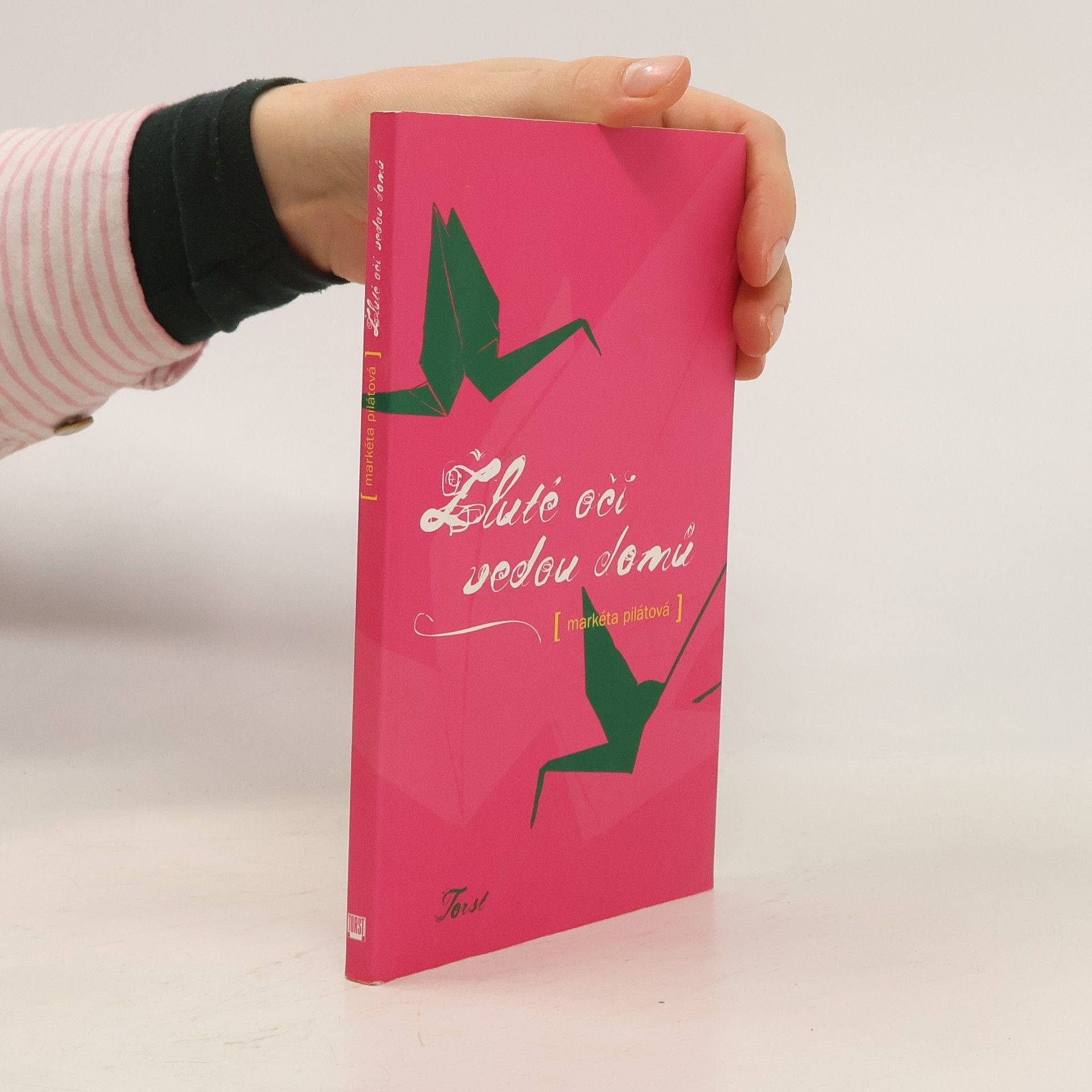 Markéta Pilátová Žluté oči vedou domů