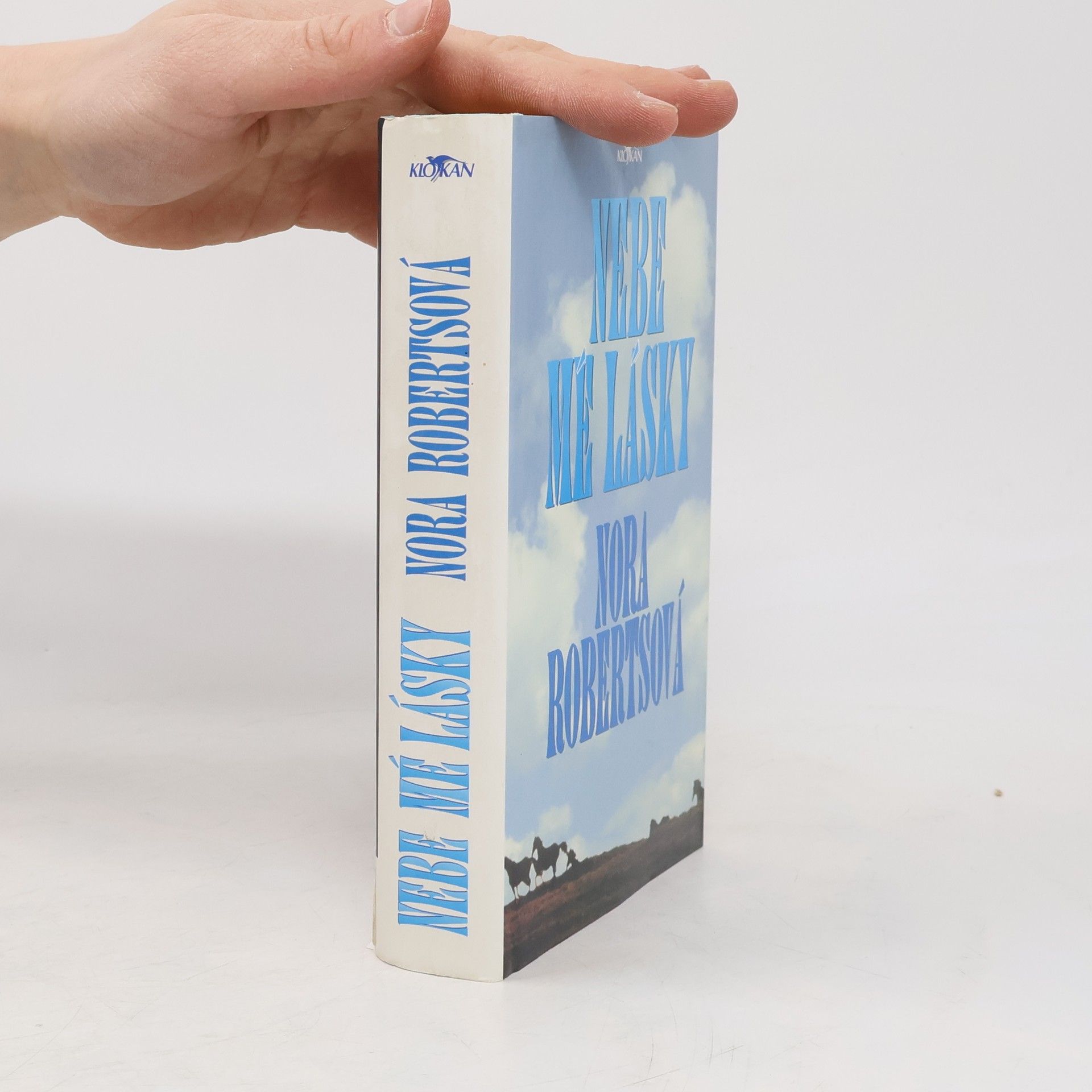 Nora Roberts Nebe mé lásky