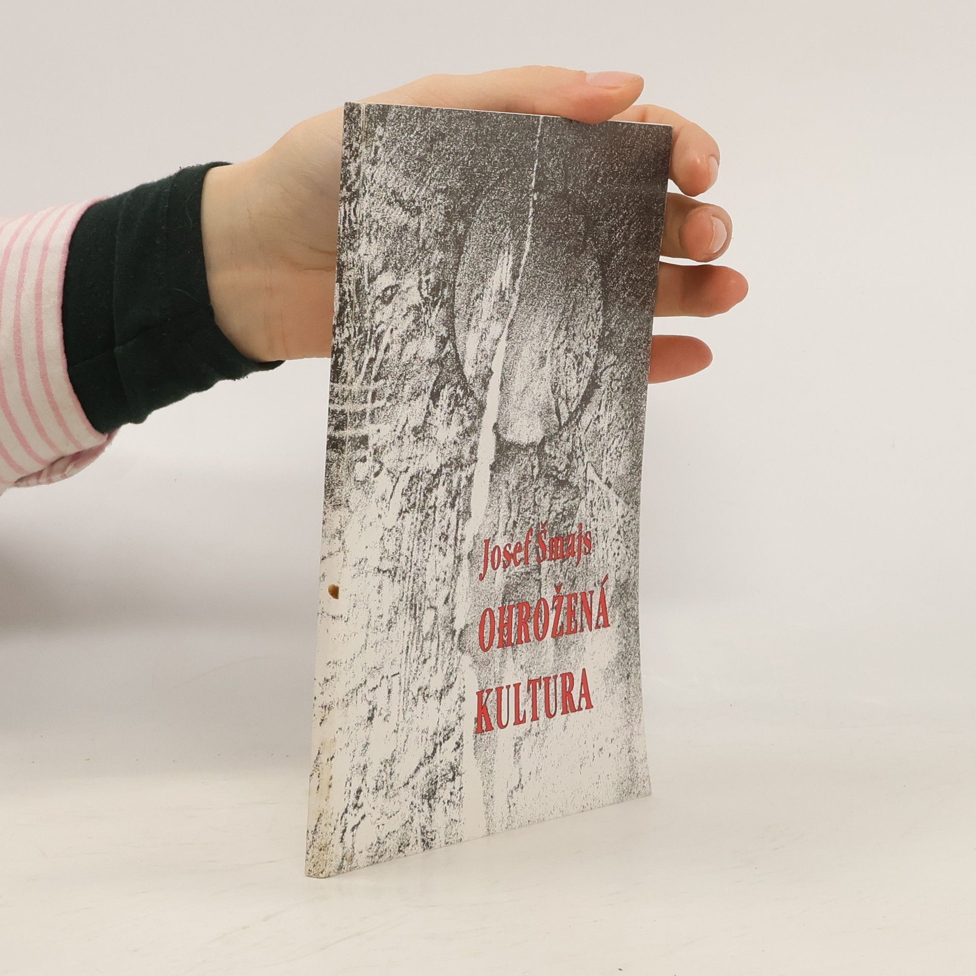 Josef Šmajs Ohrožená kultura