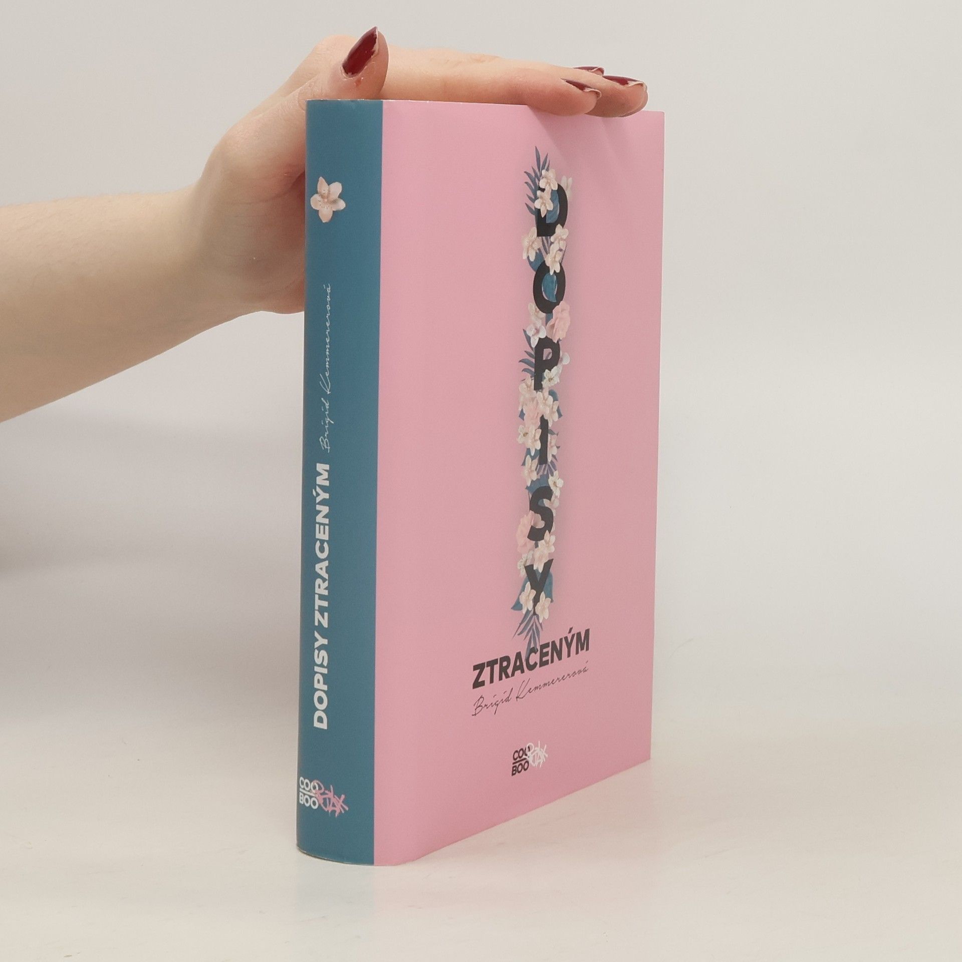 Brigid Kemmerer Dopisy ztraceným