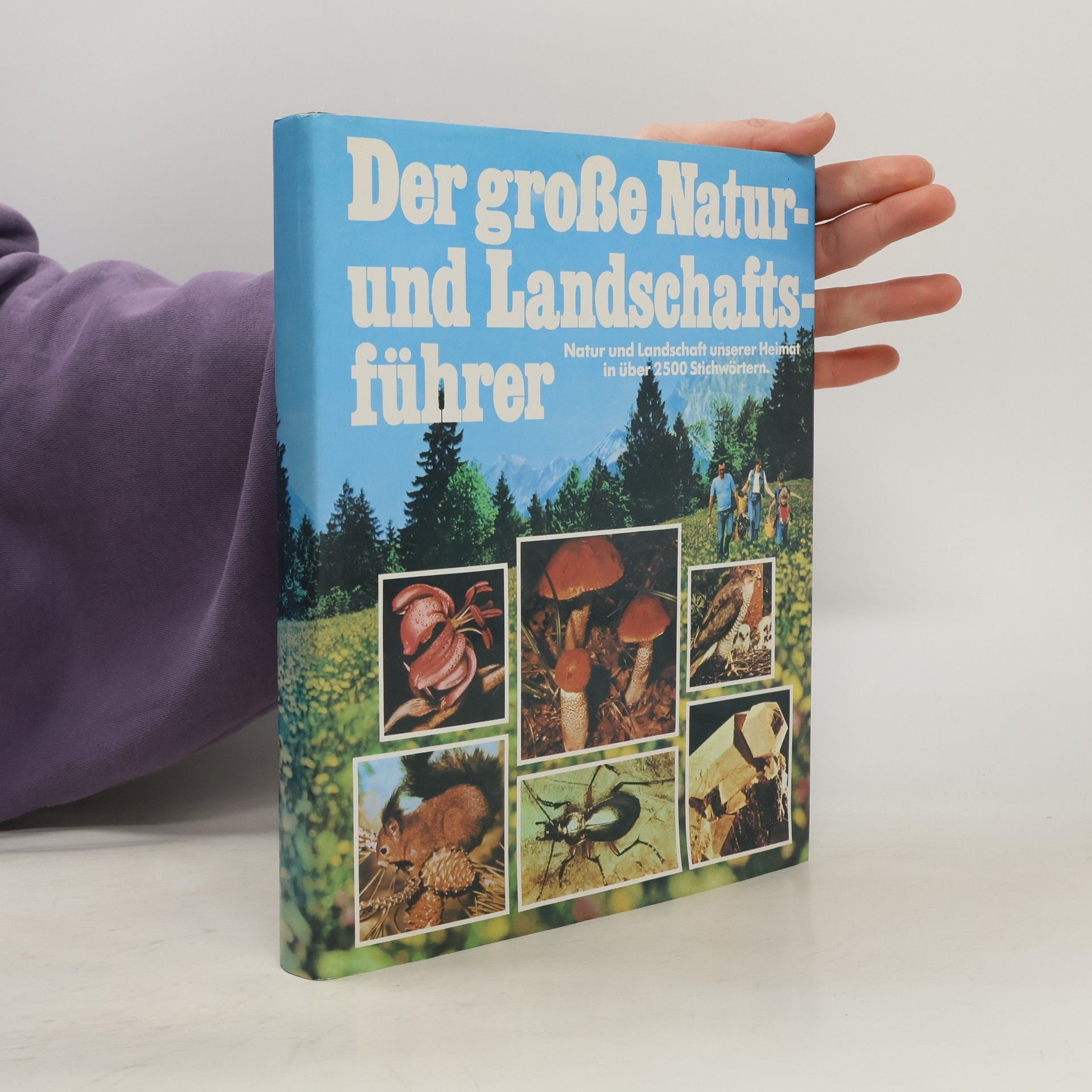 Autores varios Der große Natur und Landschafts führer