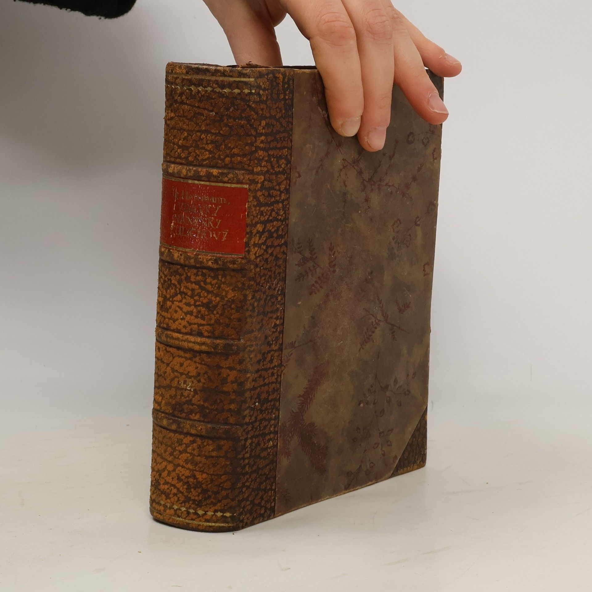 Ignát Herrmann Vdavky Nanynky Kulichovy a co se kolem nich sběhlo. 1