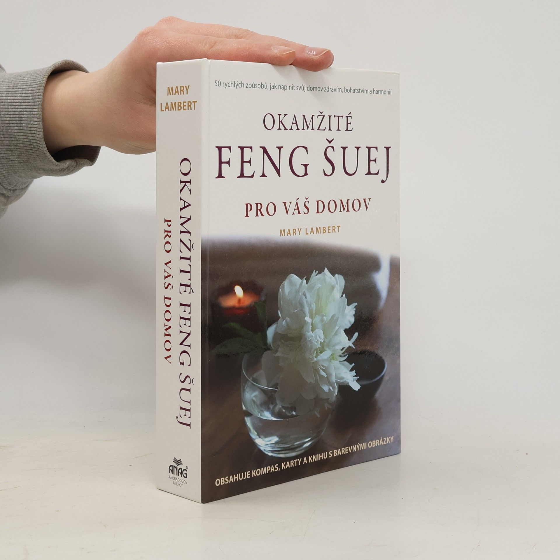 Mary Lambert Okamžité feng šuej pro váš domov