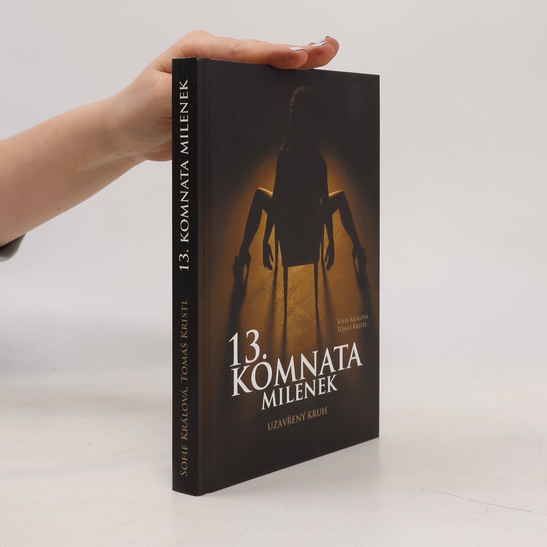 Tomáš Kristl 13. komnata milenek. Uzavřený kruh