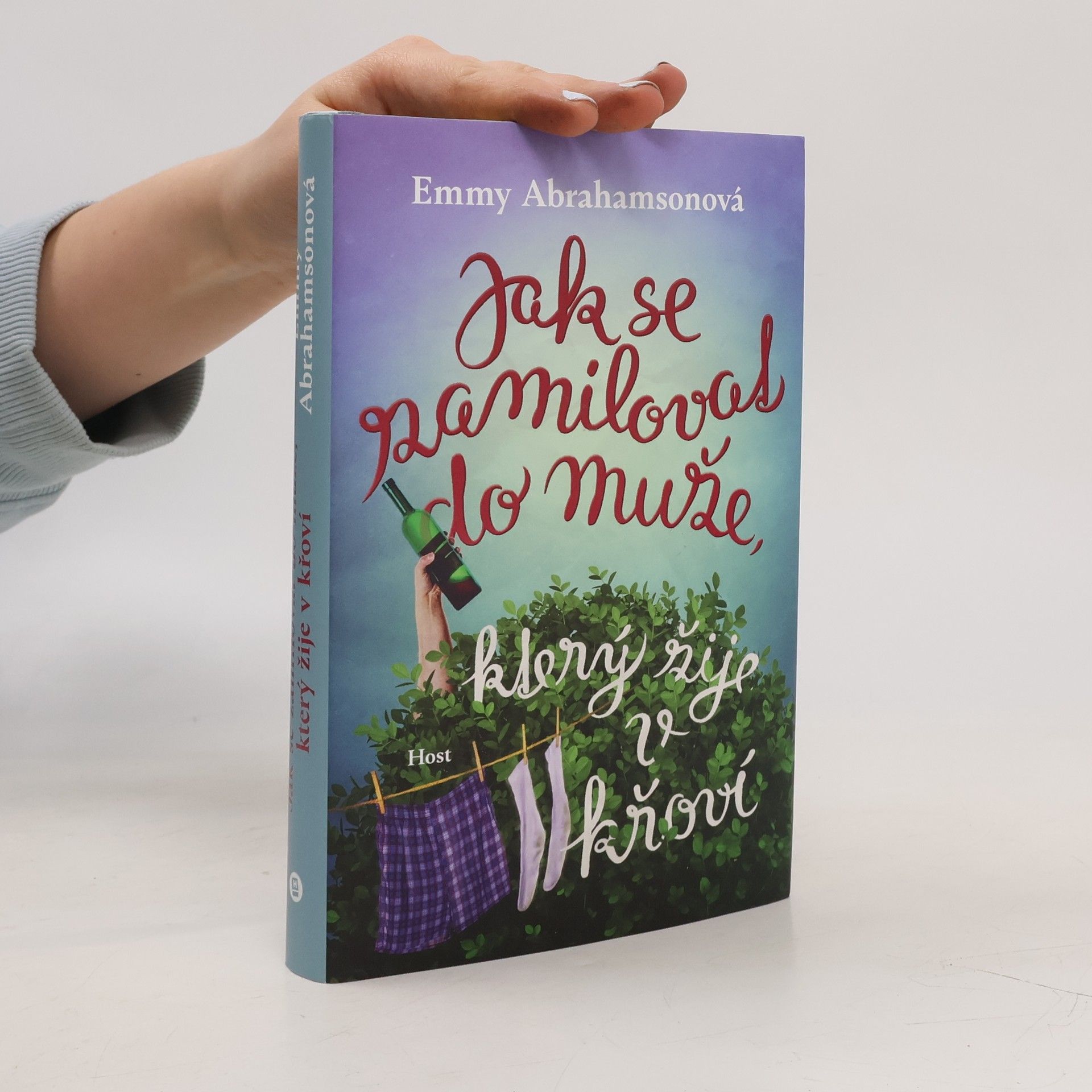 Emmy Abrahamson Jak se zamilovat do muže, který žije v křoví