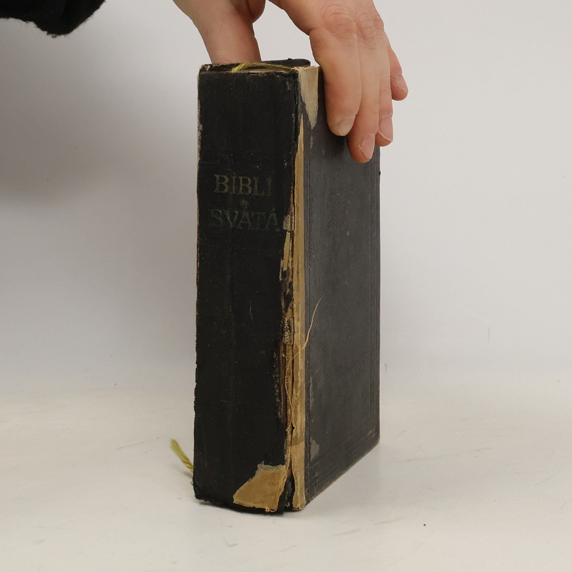 Various authors Biblí svatá