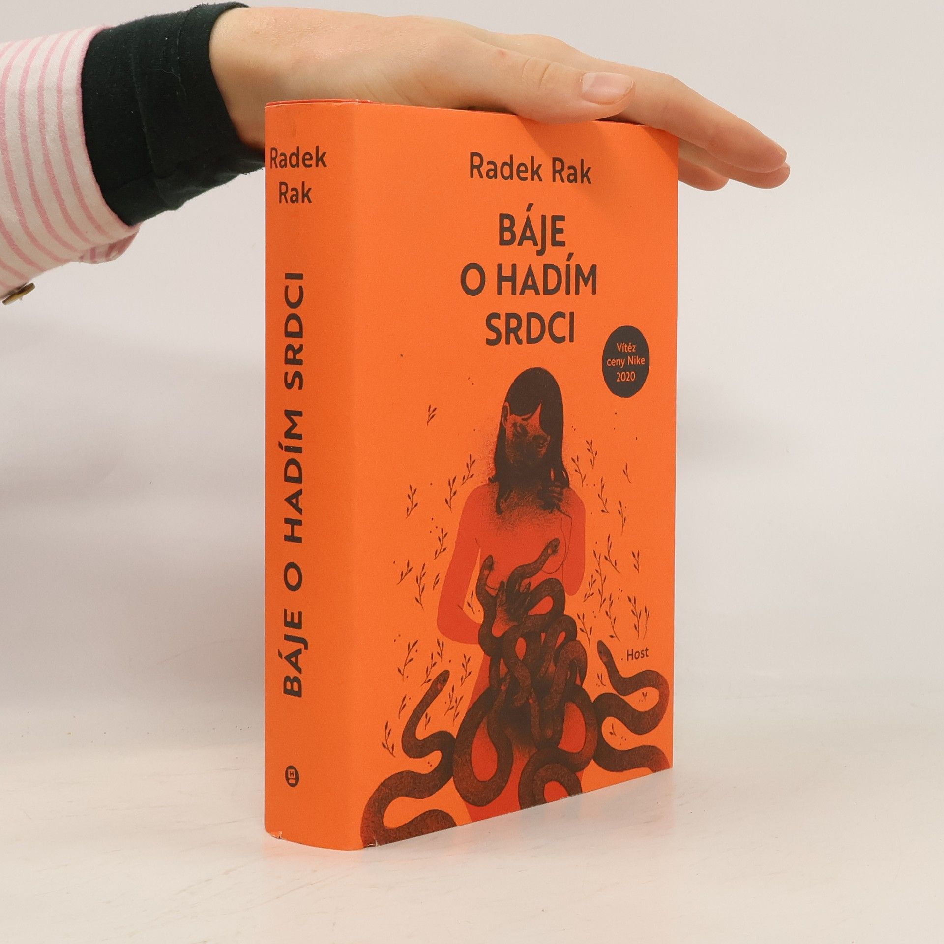 Radek Rak Báje o hadím srdci