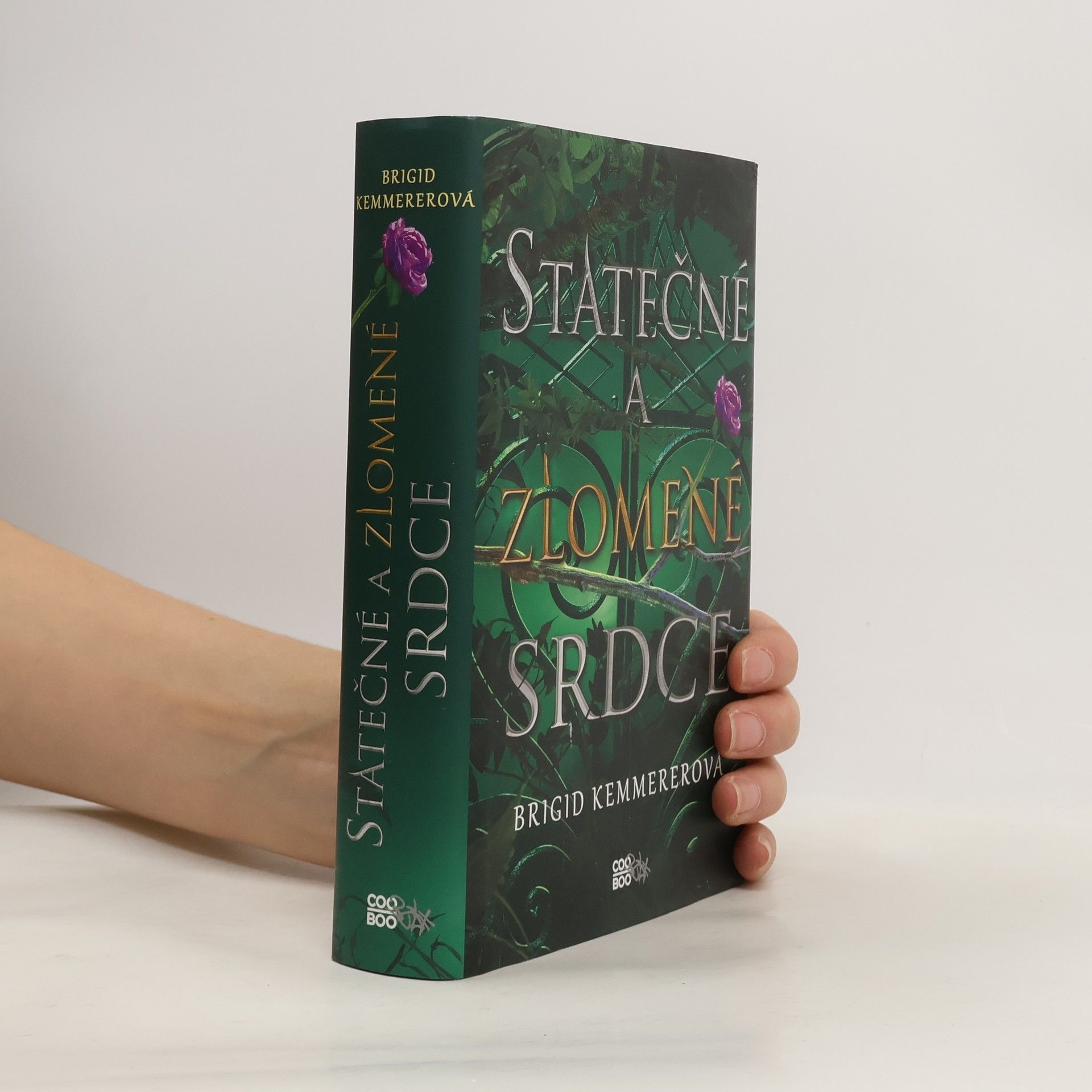 Brigid Kemmerer Statečné a zlomené srdce