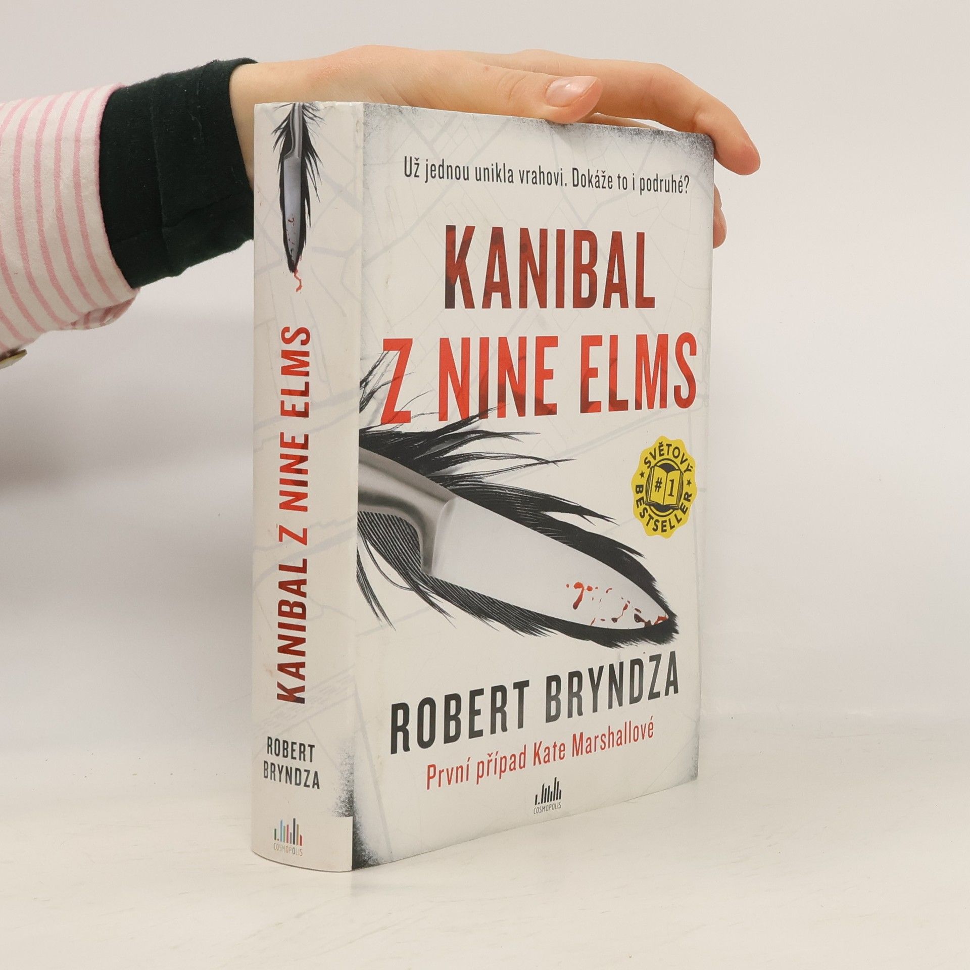 Robert Bryndza Kanibal z Nine Elms