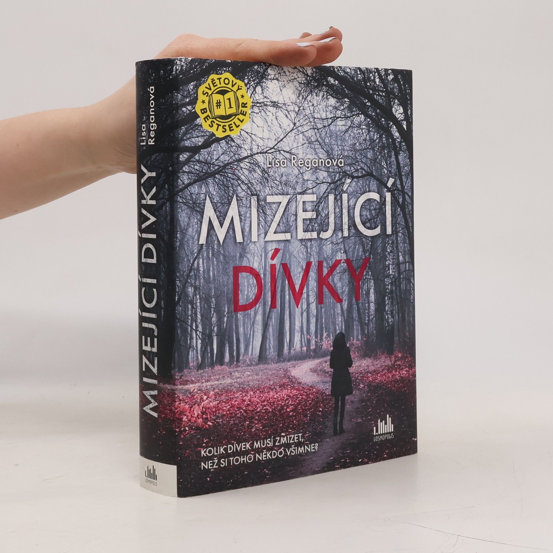 Lisa Regan Mizející dívky