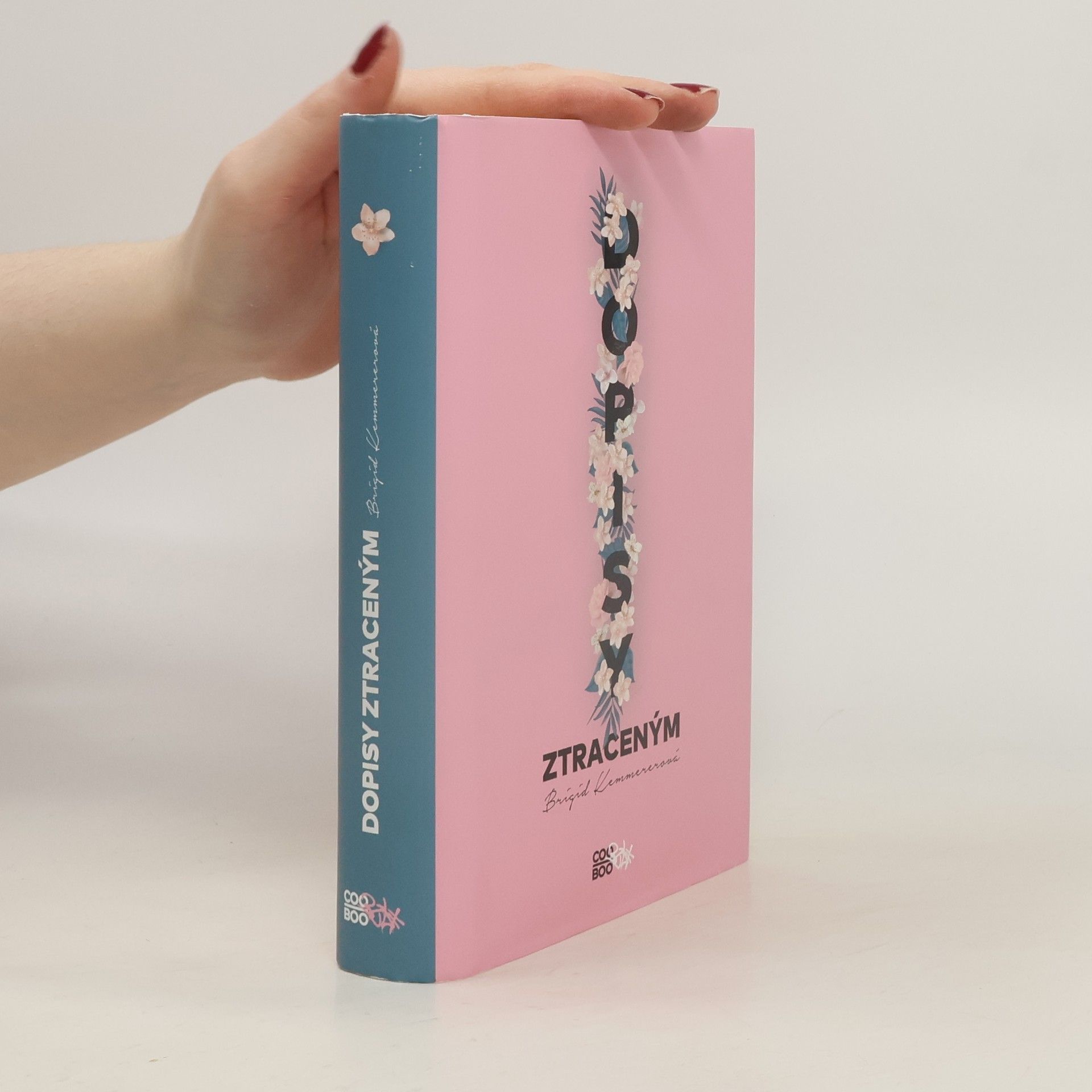 Brigid Kemmerer Dopisy ztraceným