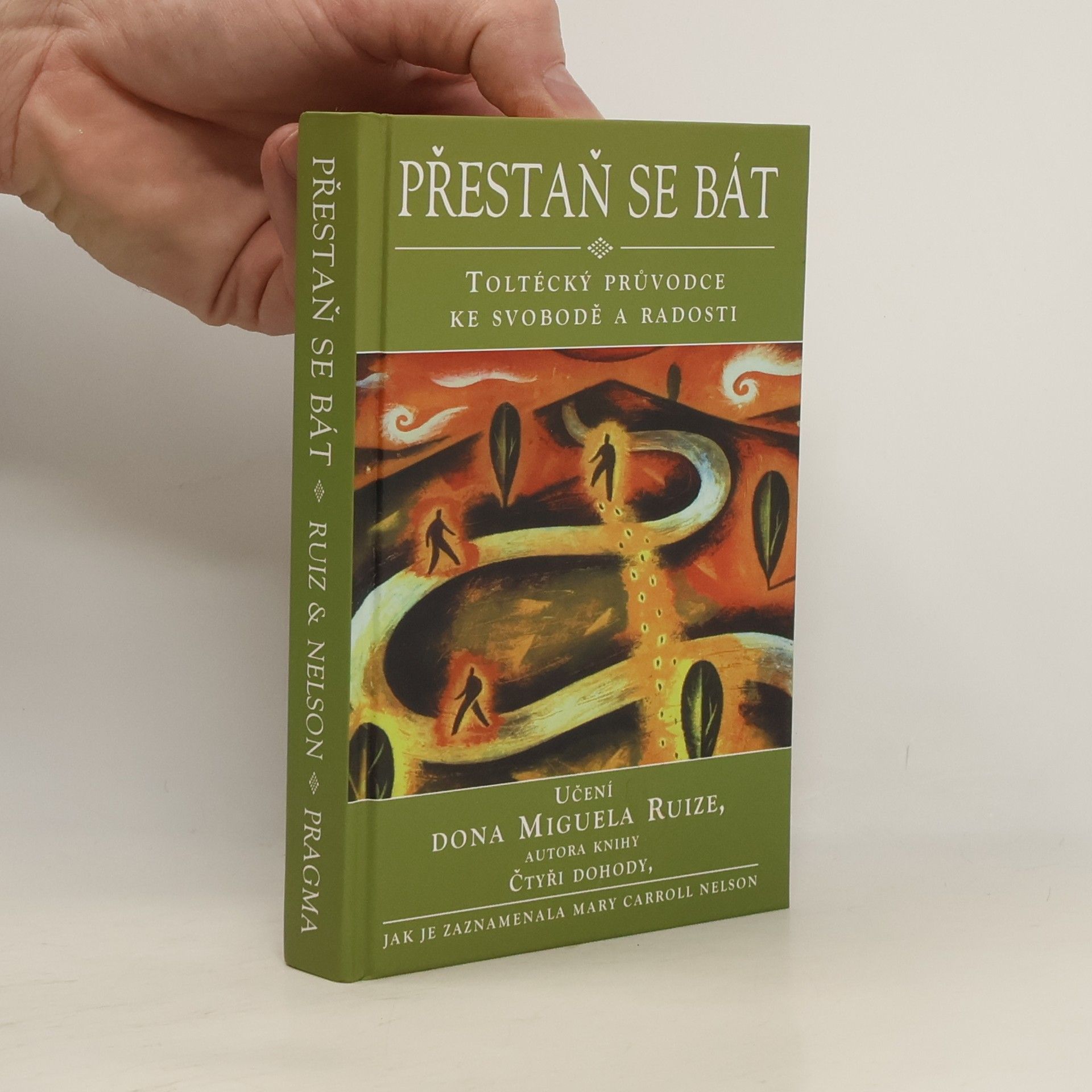 Mary Carroll Nelson Přestaň se bát