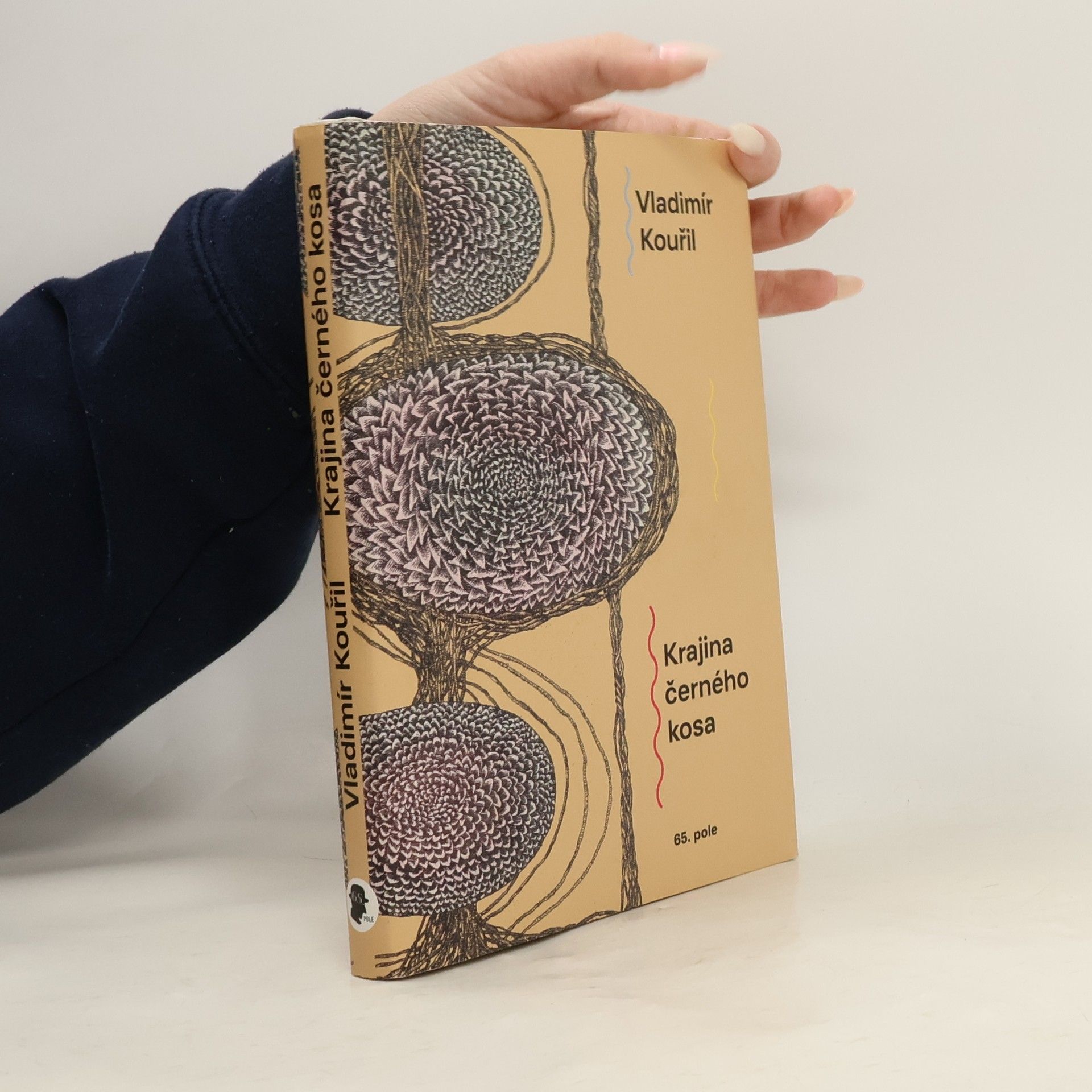 Vladimír Kouřil Krajina černého kosa