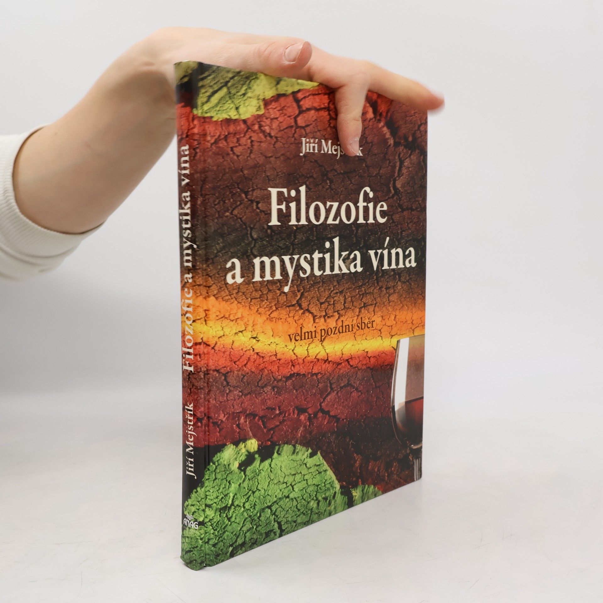 Jiří Mejstřík Filozofie a mystika vína