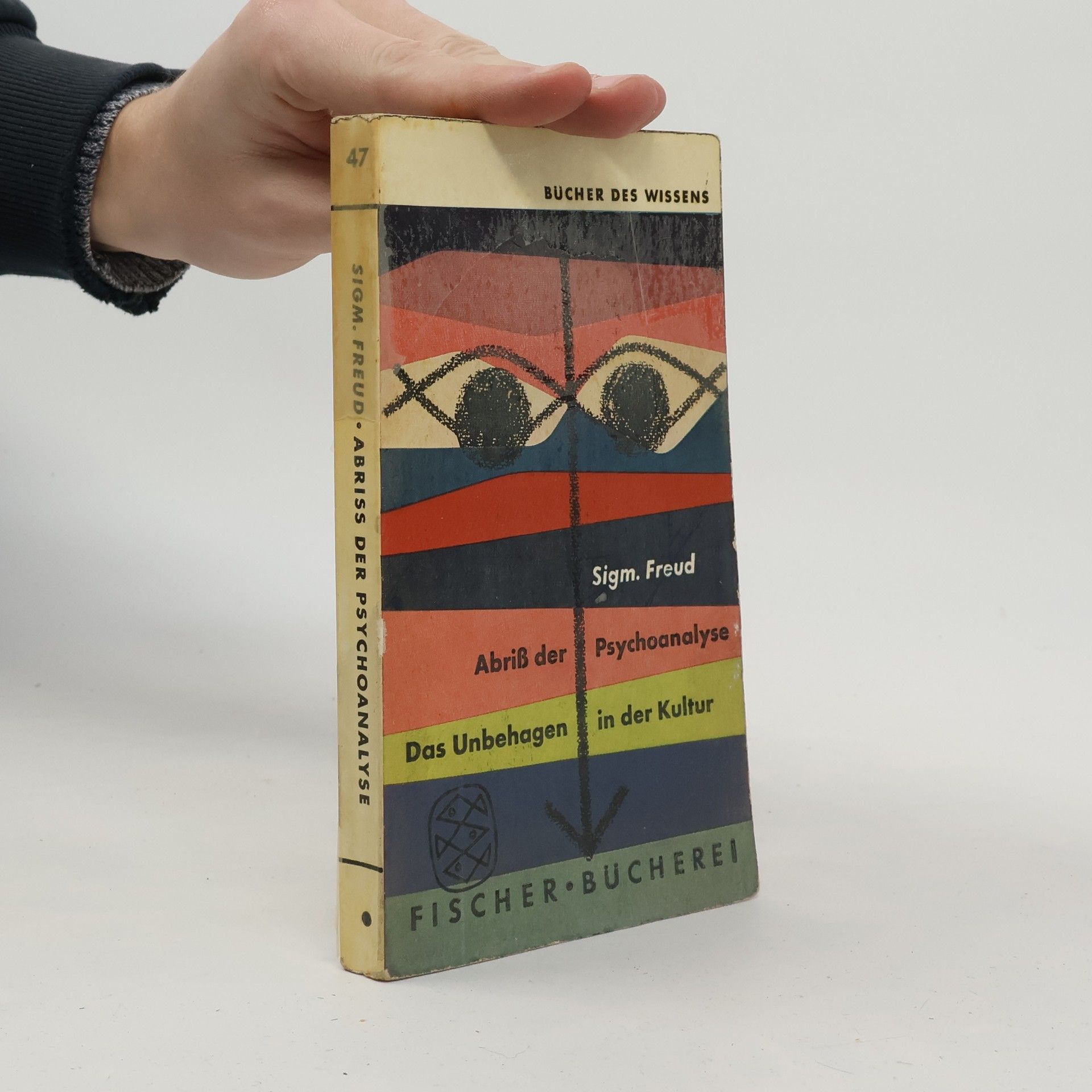 Sigmund Freud Abriss der Psychoanalyse