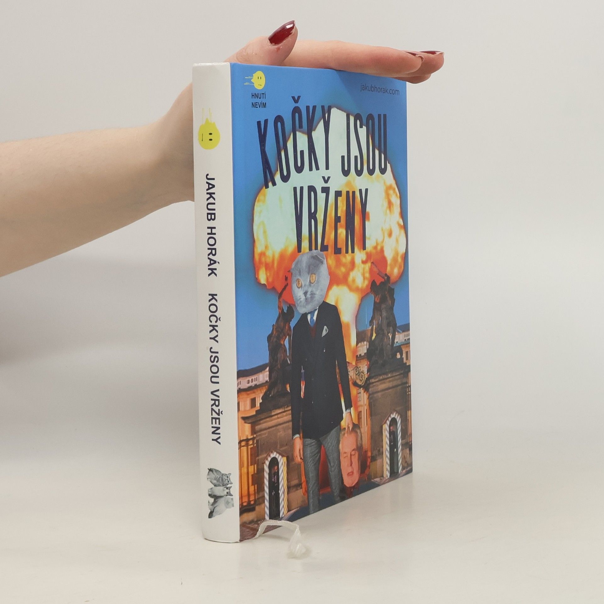 Jakub Horák Kočky jsou vrženy: Fantastický román