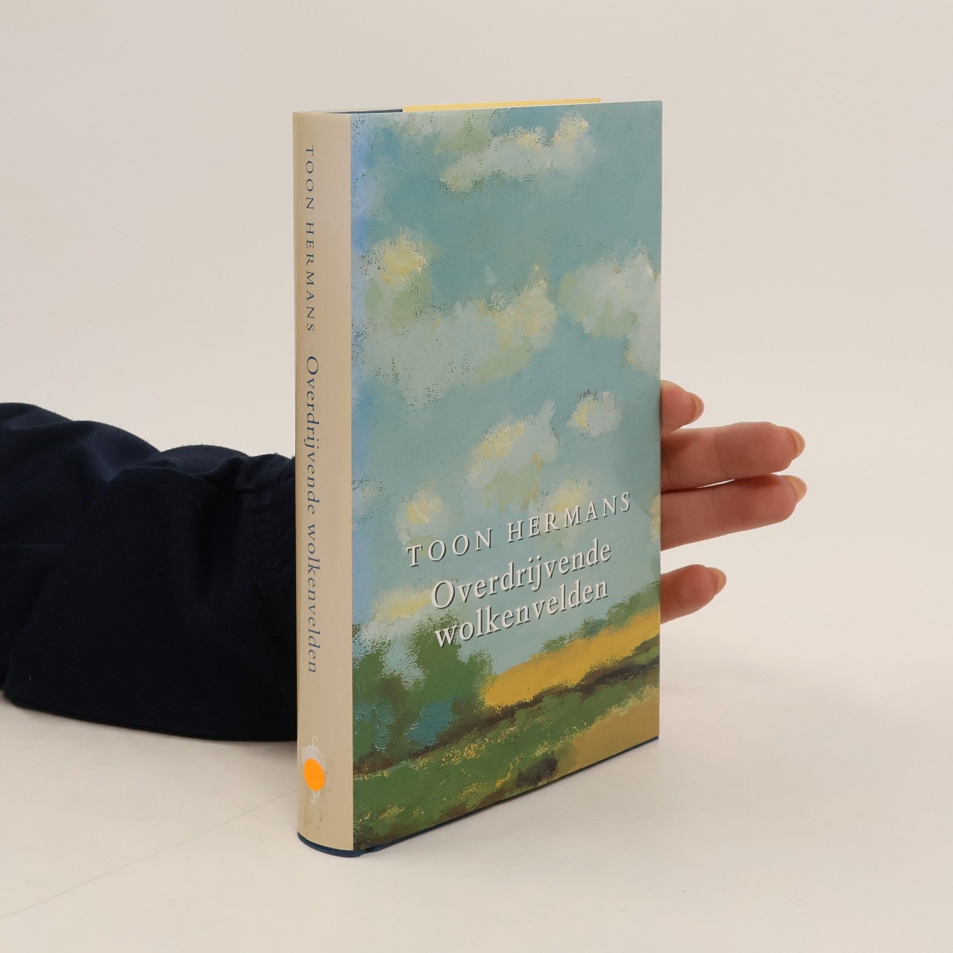 Verzamelde werken - 5: Overdrijvende wolkenvelden