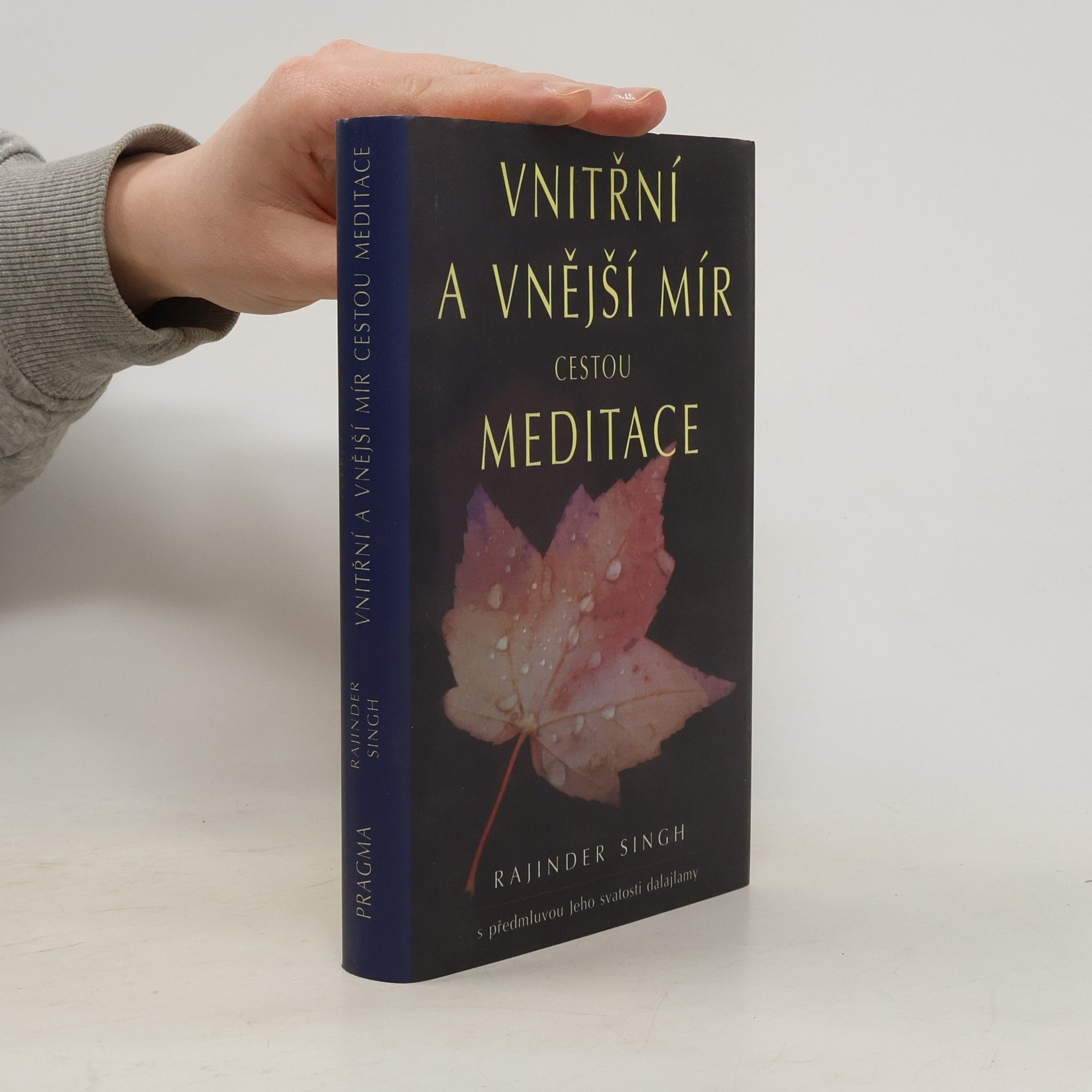 svatý Rajinder Singh Vnitřní a vnější mír cestou meditace