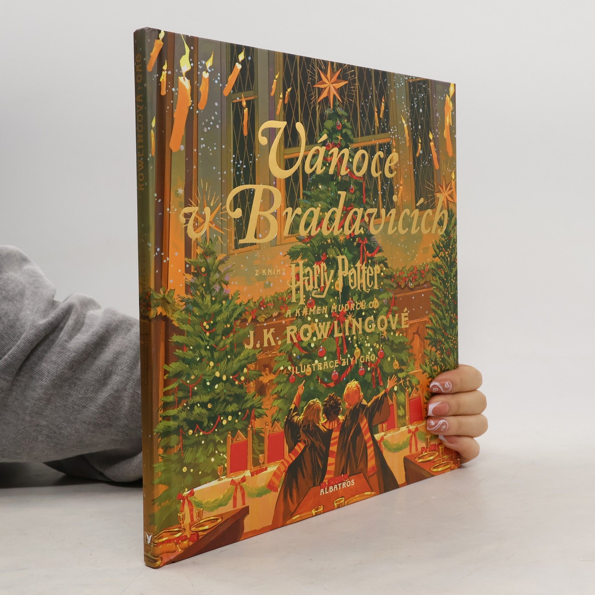 Joanne K. Rowling Vánoce v Bradavicích