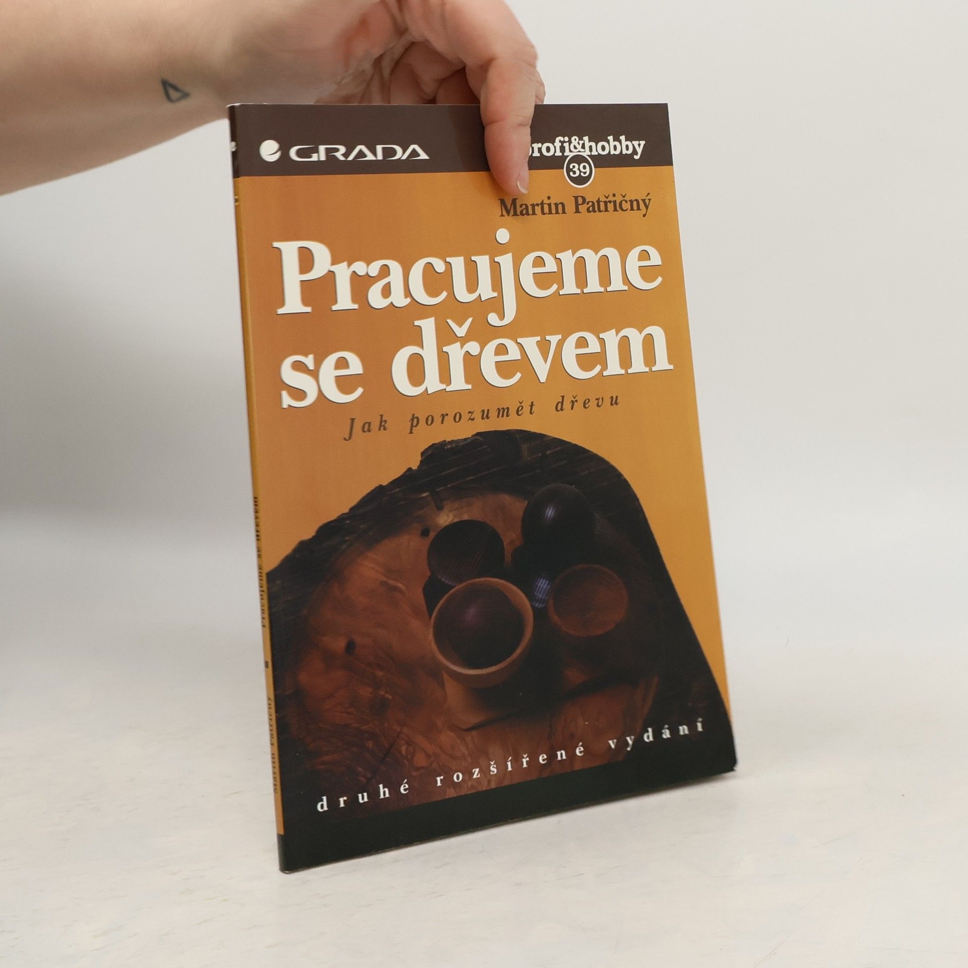 Martin Patřičný Pracujeme se dřevem – jak porozumět dřevu