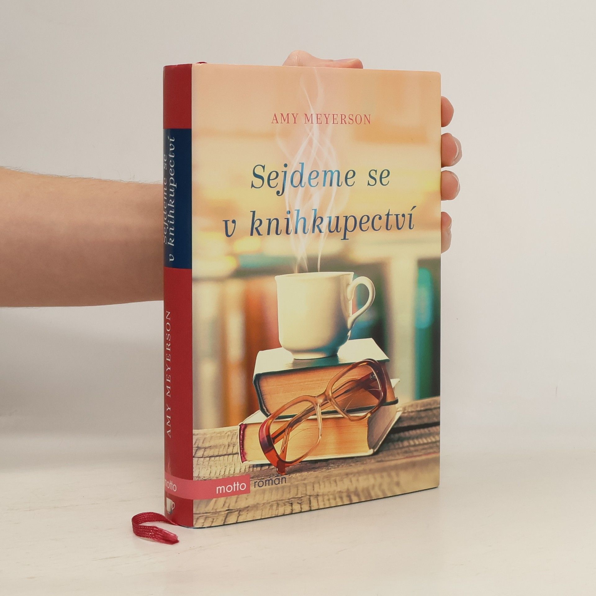 Amy Meyerson Sejdeme se v knihkupectví