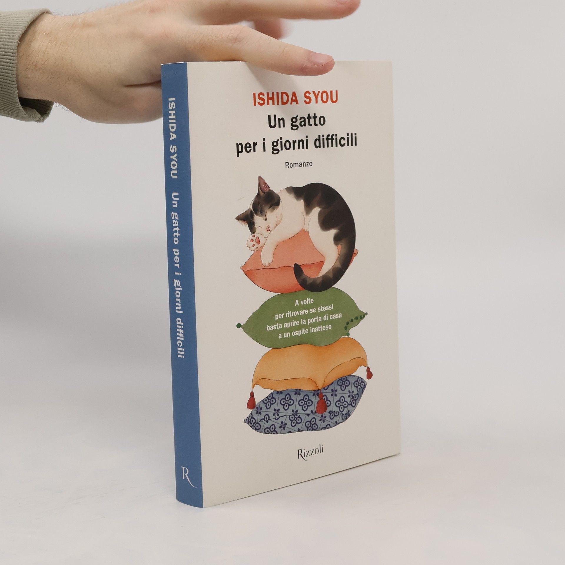 Un gatto per i giorni difficili