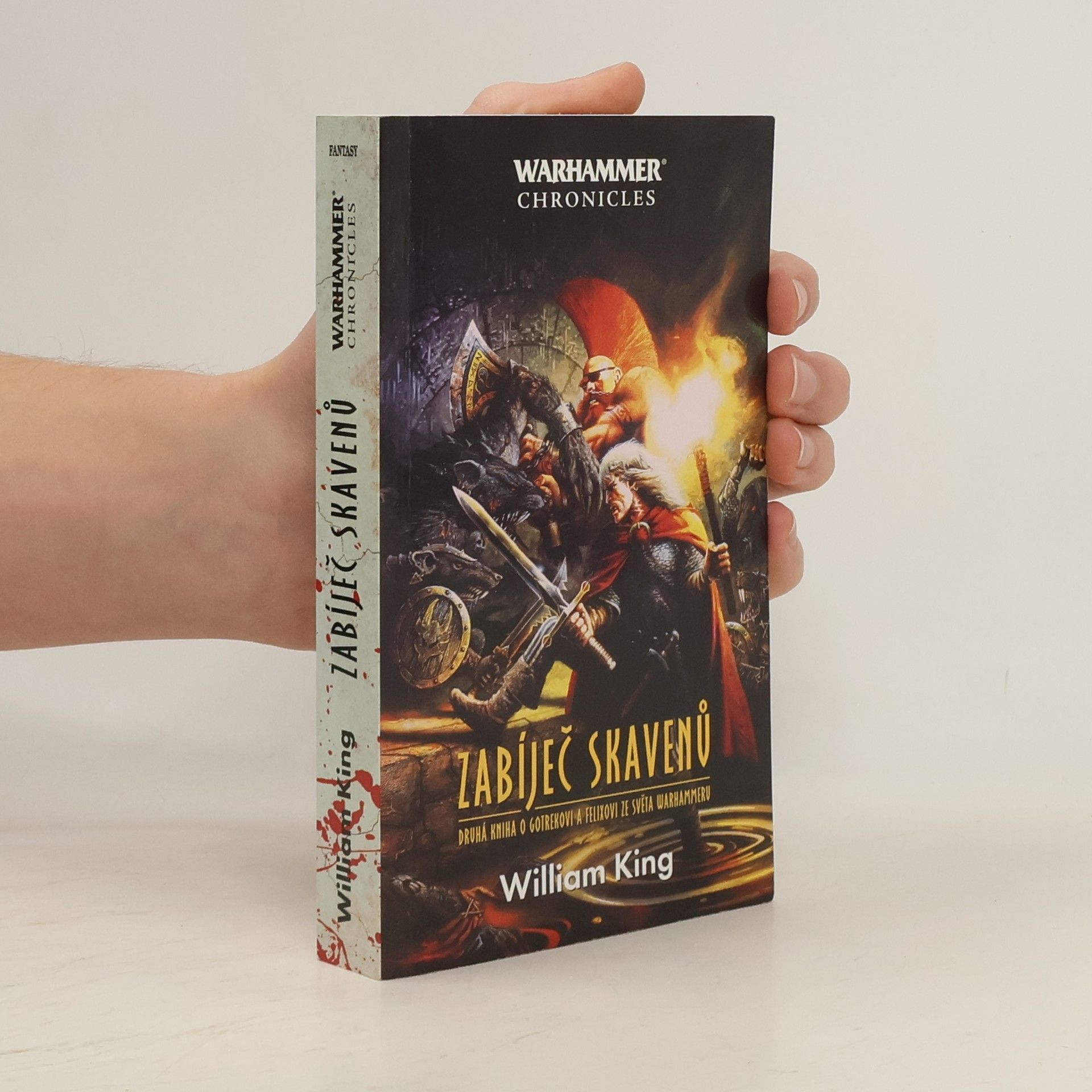 William King Zabíleč démonů