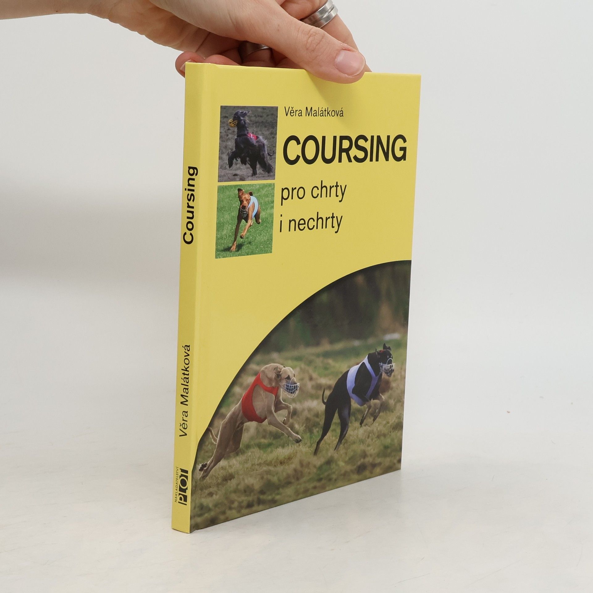 Věra Malátková Coursing pro chrty i nechrty