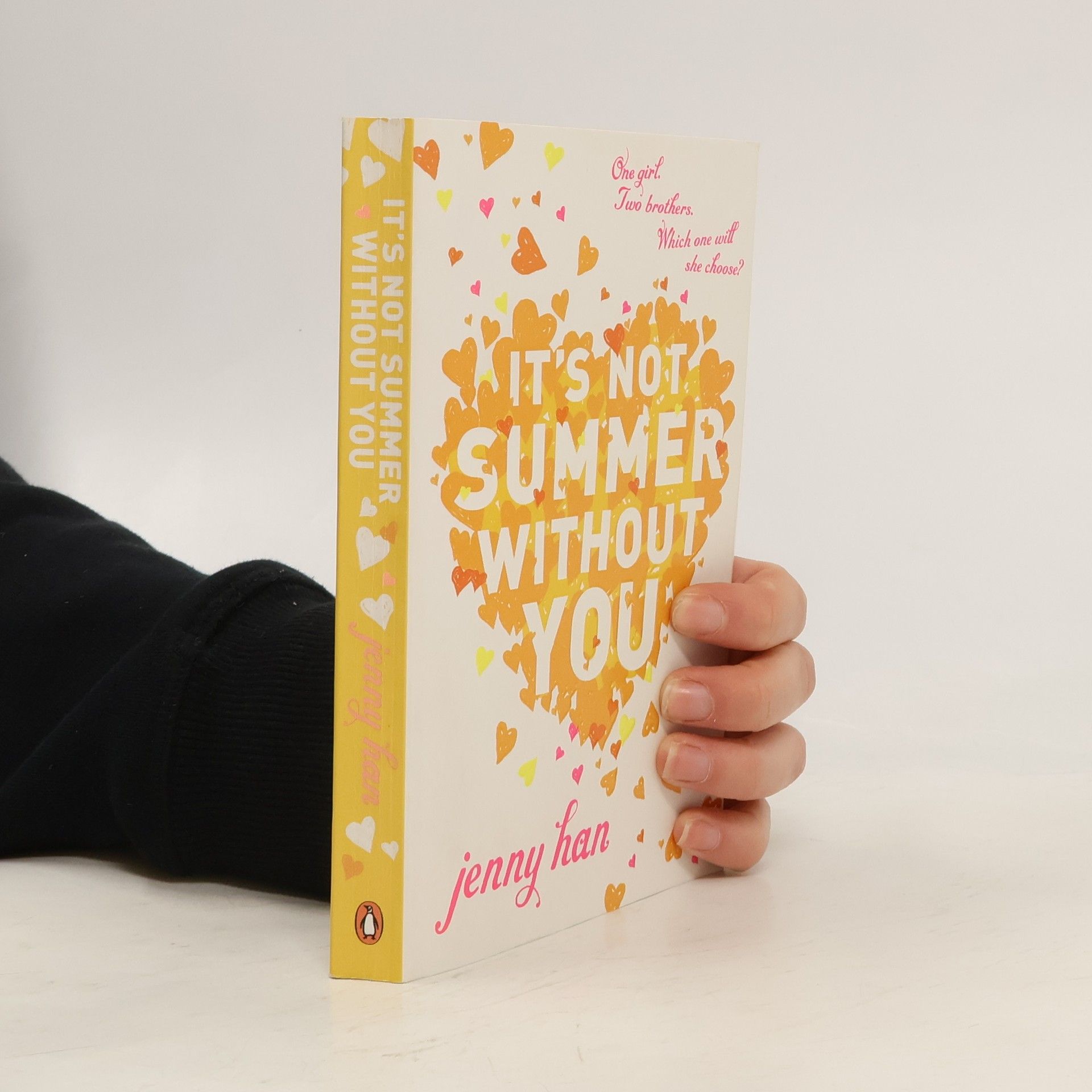 Jenny Han It's Not Summer Without You