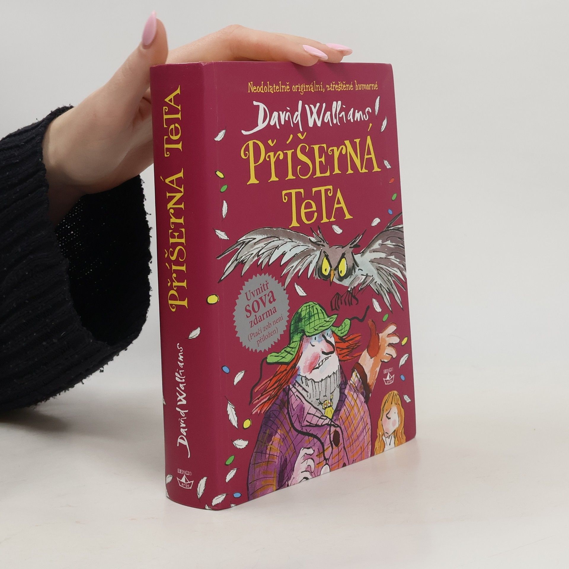 David Walliams Příšerná teta