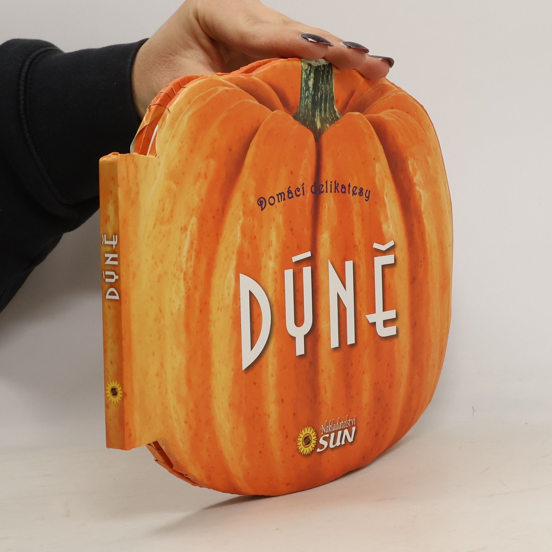 Kolektív autorov Domácí delikatesy: Dýně